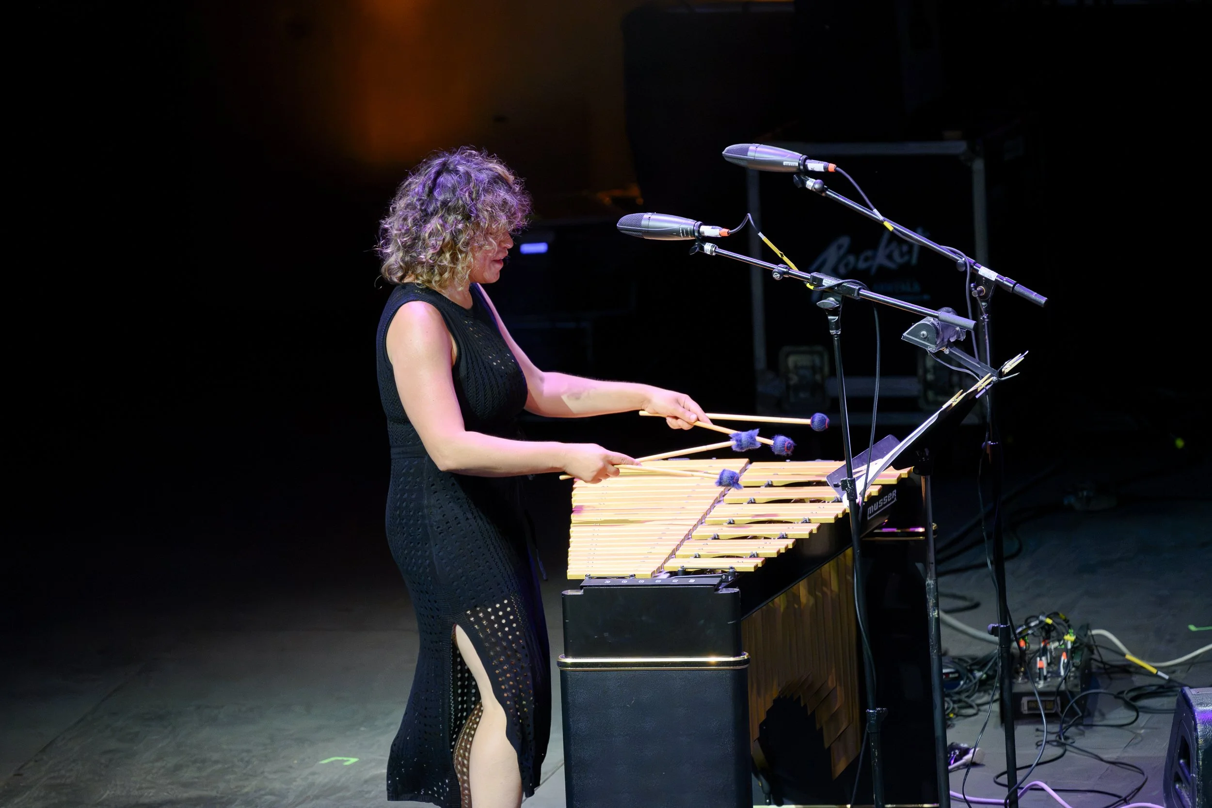 Patricia Brennan Septet at BRIC Celebrate Brooklyn!
