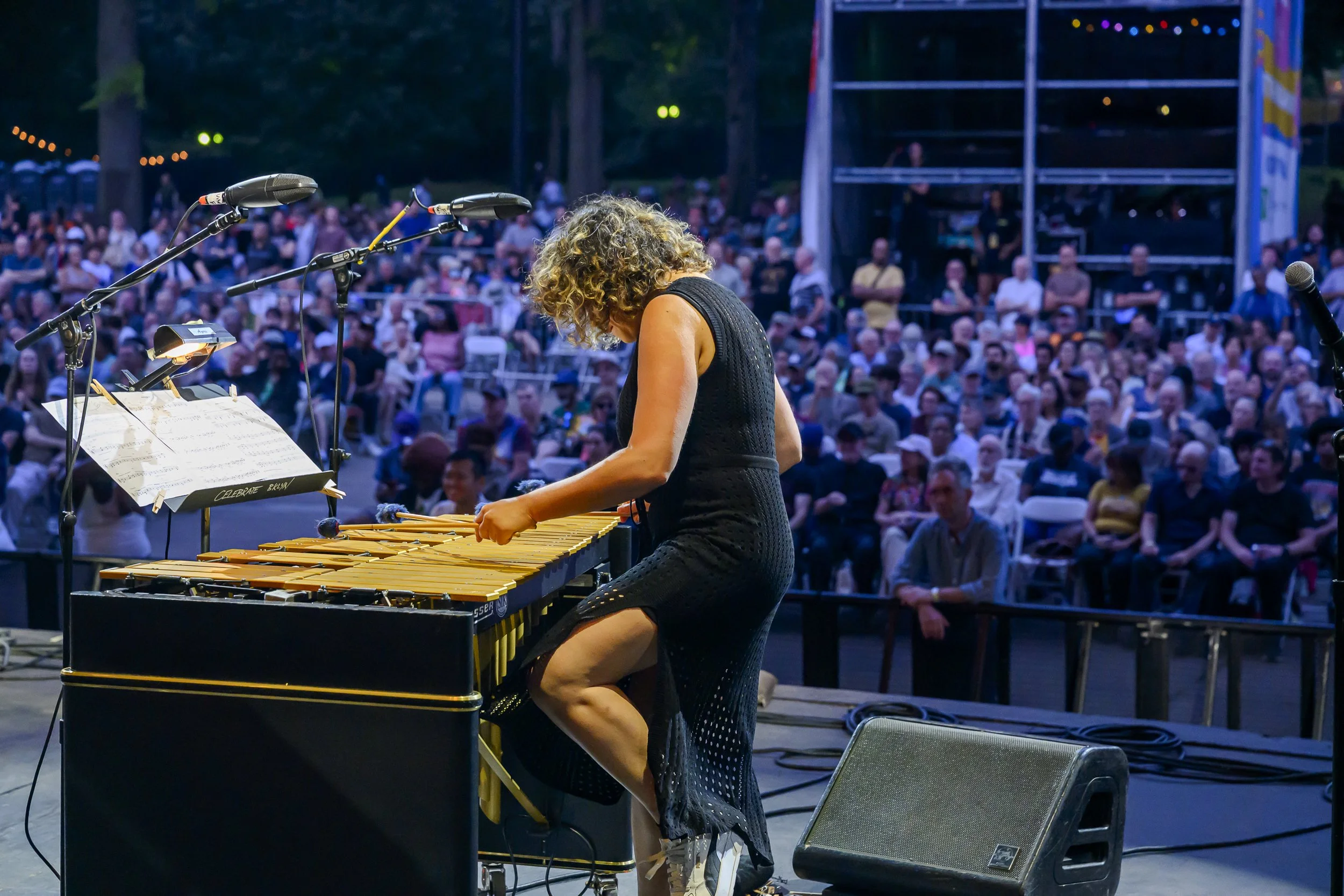 Patricia Brennan Septet at BRIC Celebrate Brooklyn!
