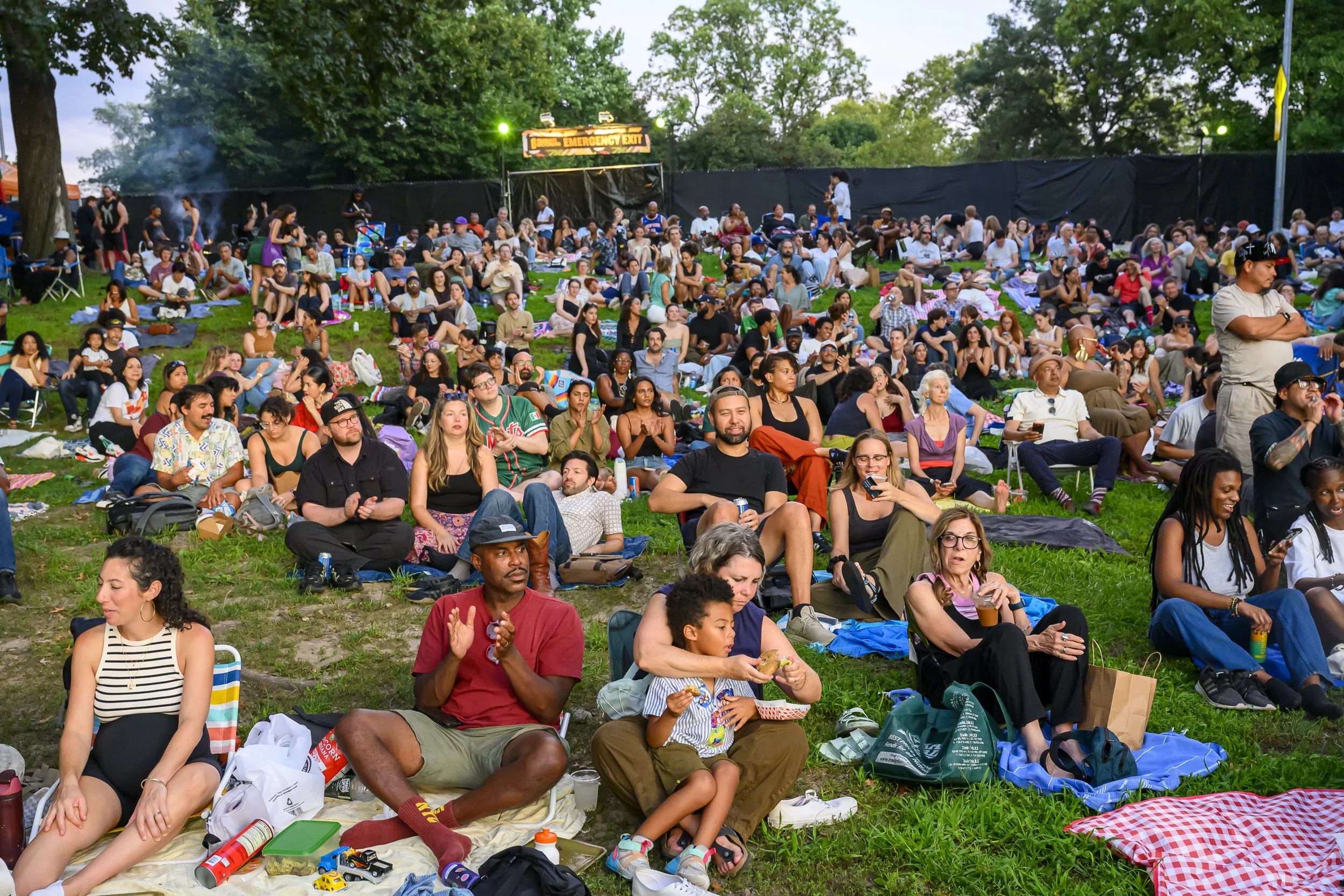 Audience-during-Adi-Oasis-at-BRIC-Celebrate-Brooklyn-by-Edwina-Hay-2300.jpg