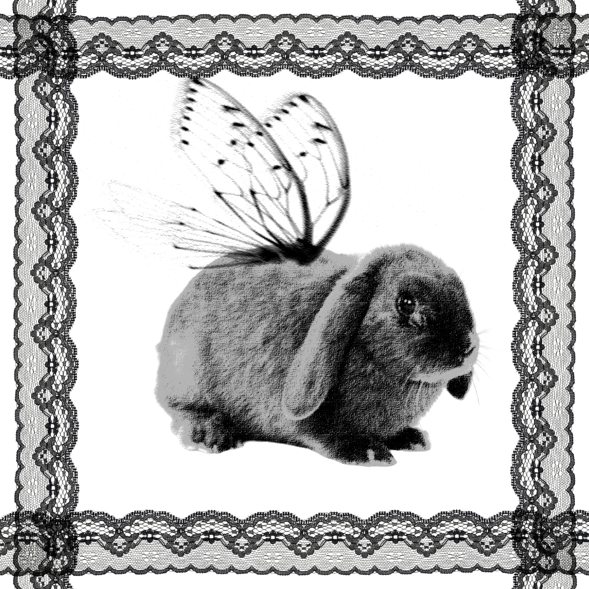 hoodie-graphic-artwork.png