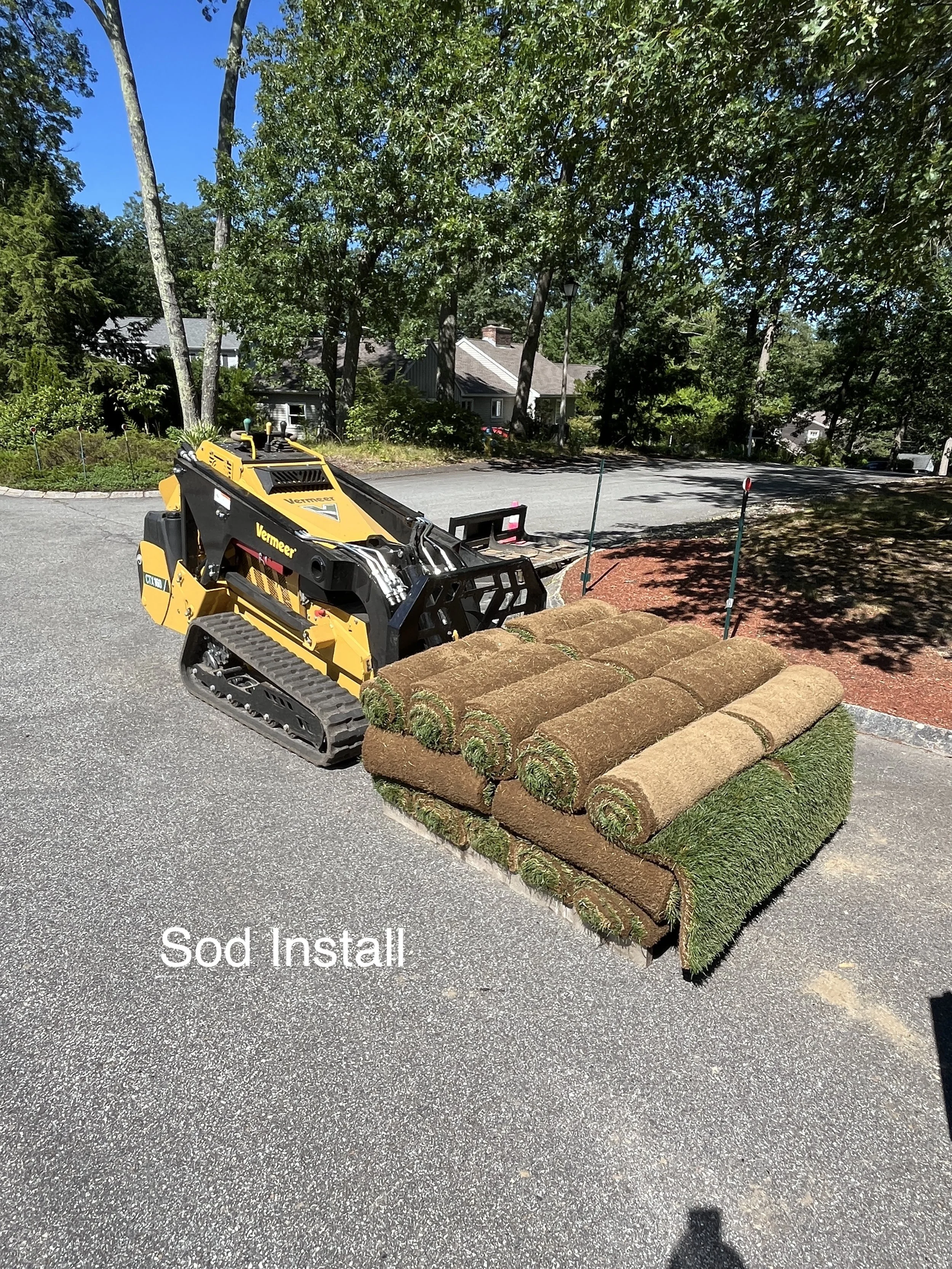 Sod.JPG
