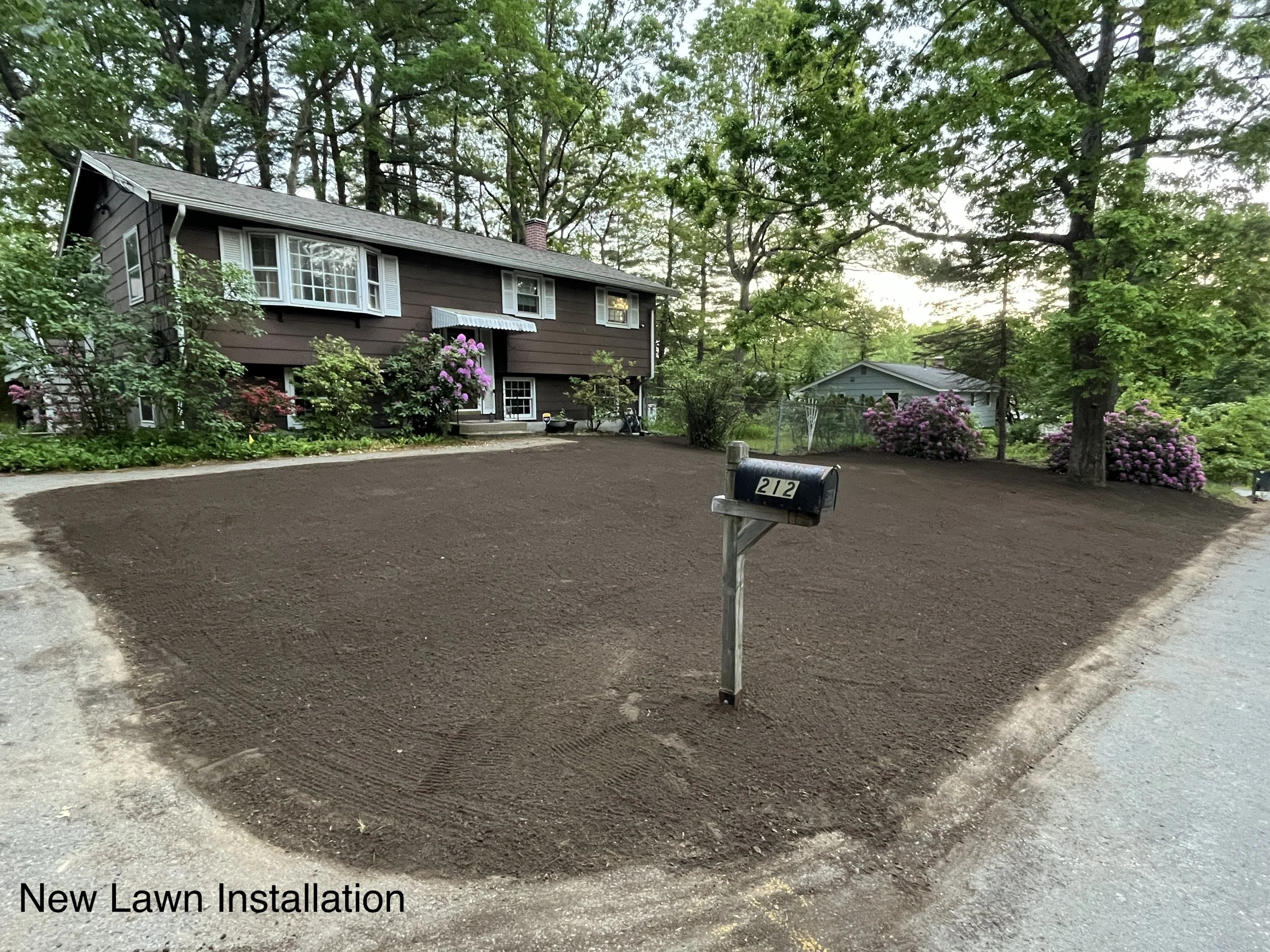 Lawn Install.JPG