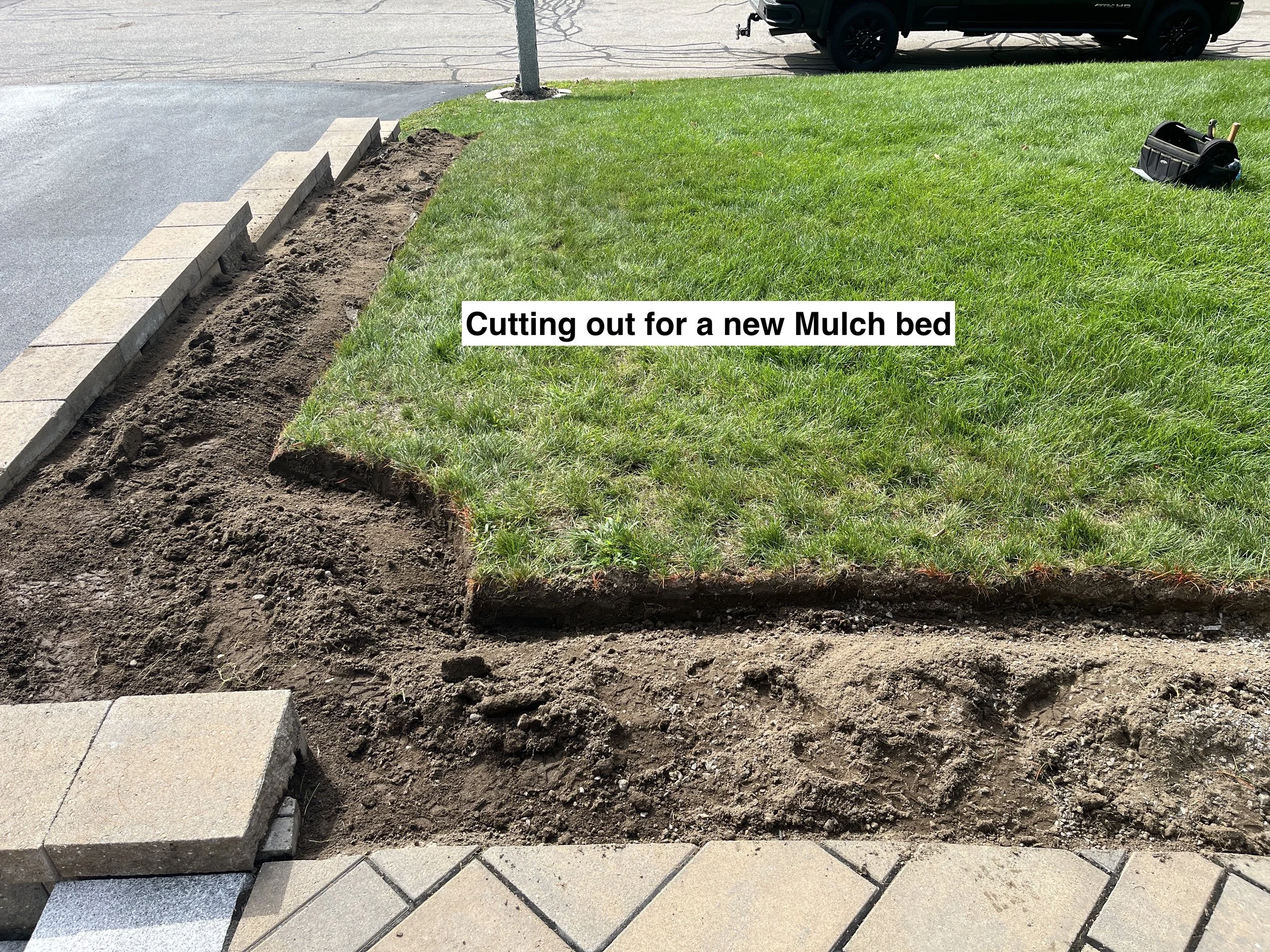 Mulch bed.JPG