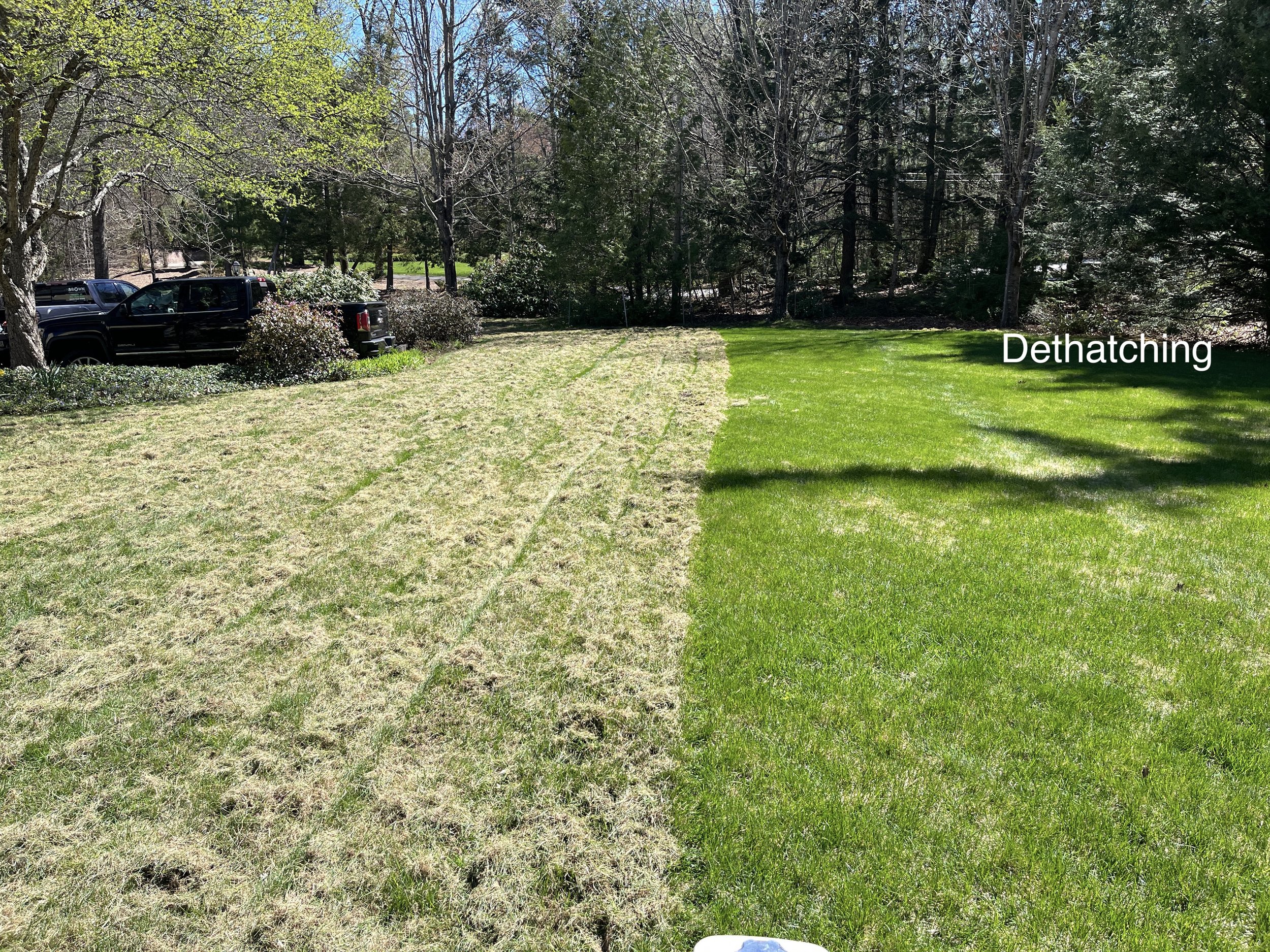 Dethatch.JPG