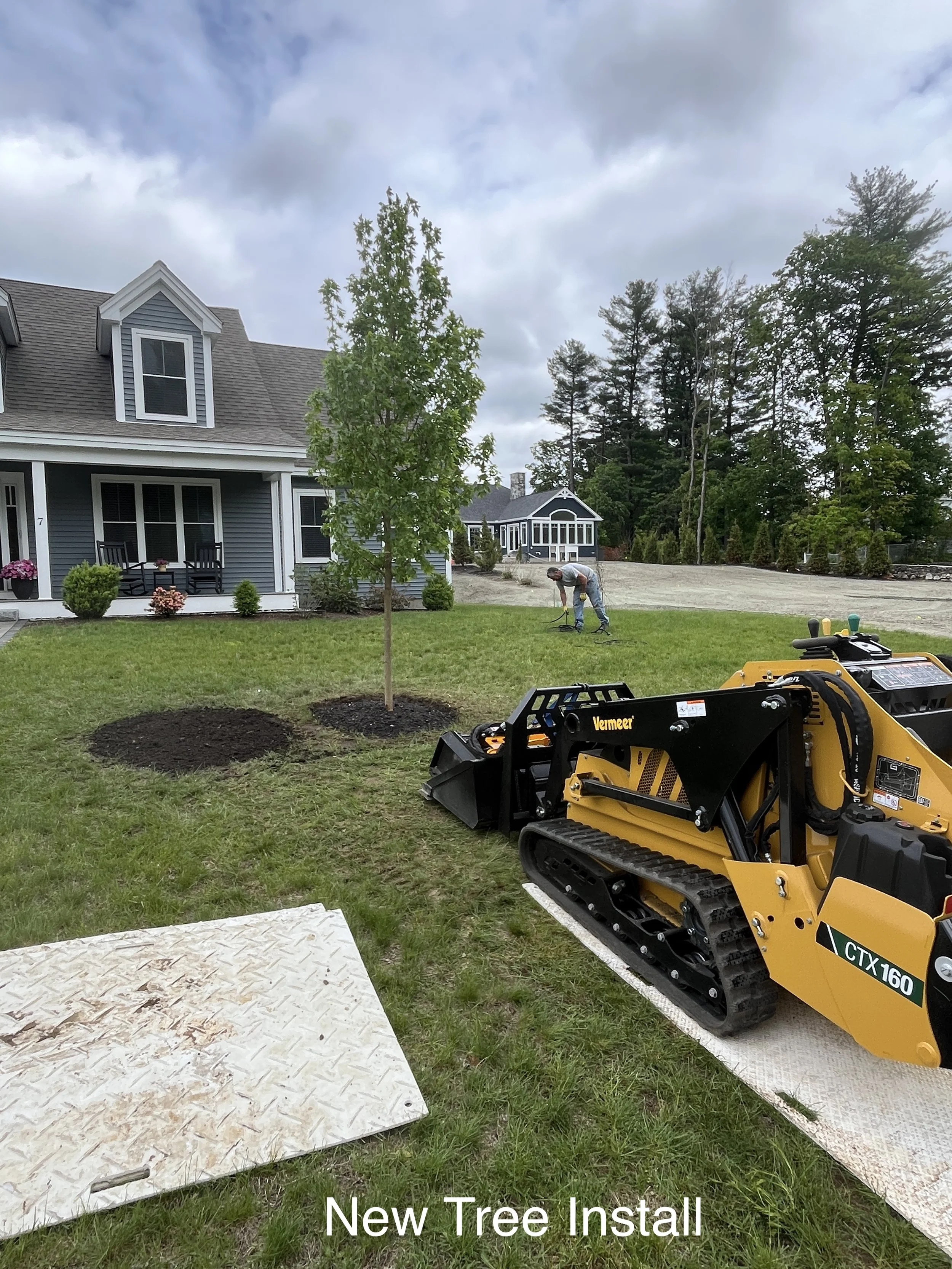 tree install.JPG