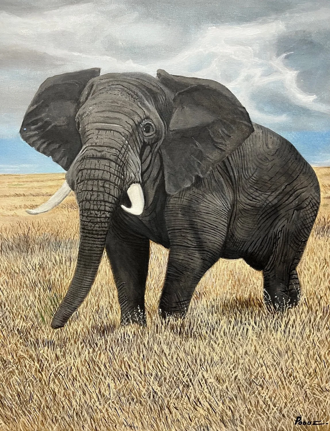 Charging Bill Elephant.jpeg