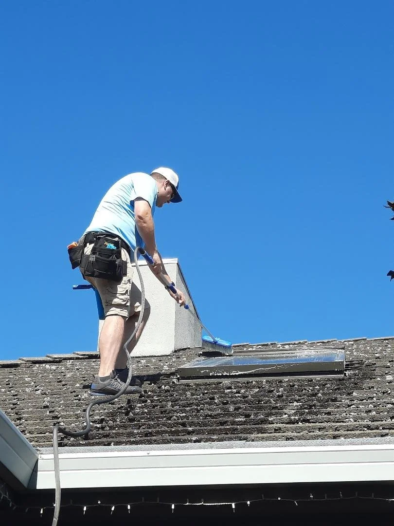 Skylight with scrub brus.jfif