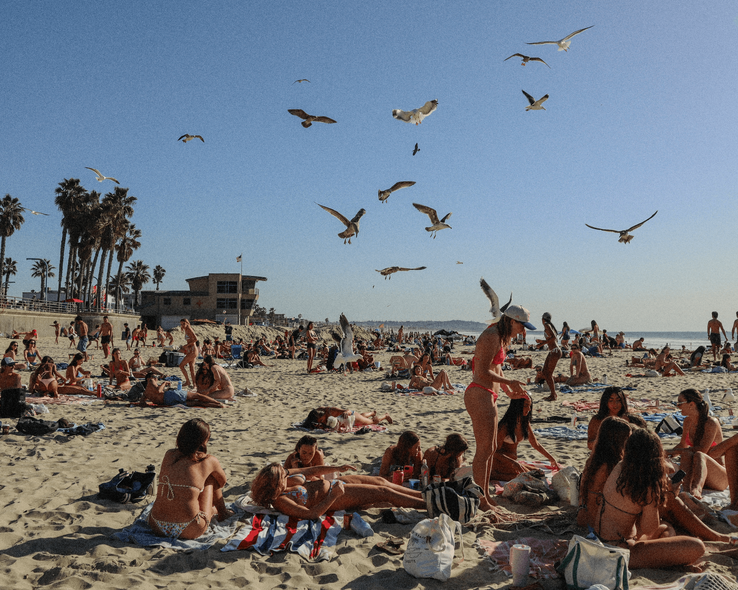 Winter in San Diego?