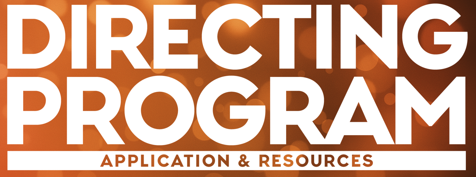 Disney Directing Program