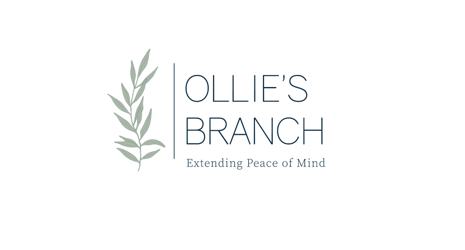 Ollie-Branch-home.png