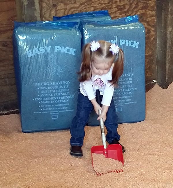 Easy Pick Micro Shavings — Eugene Livestock Auction