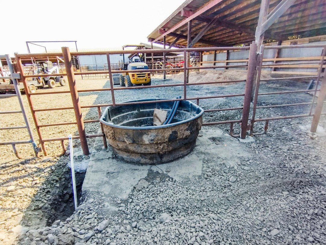 Eugene Livestock Auction