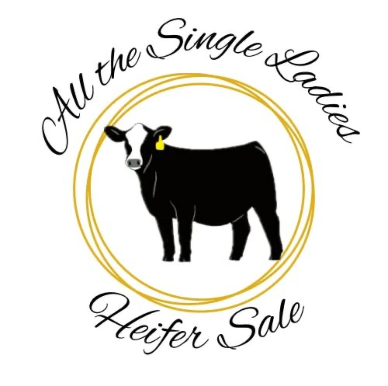 All The Single Ladies Heifer Sale