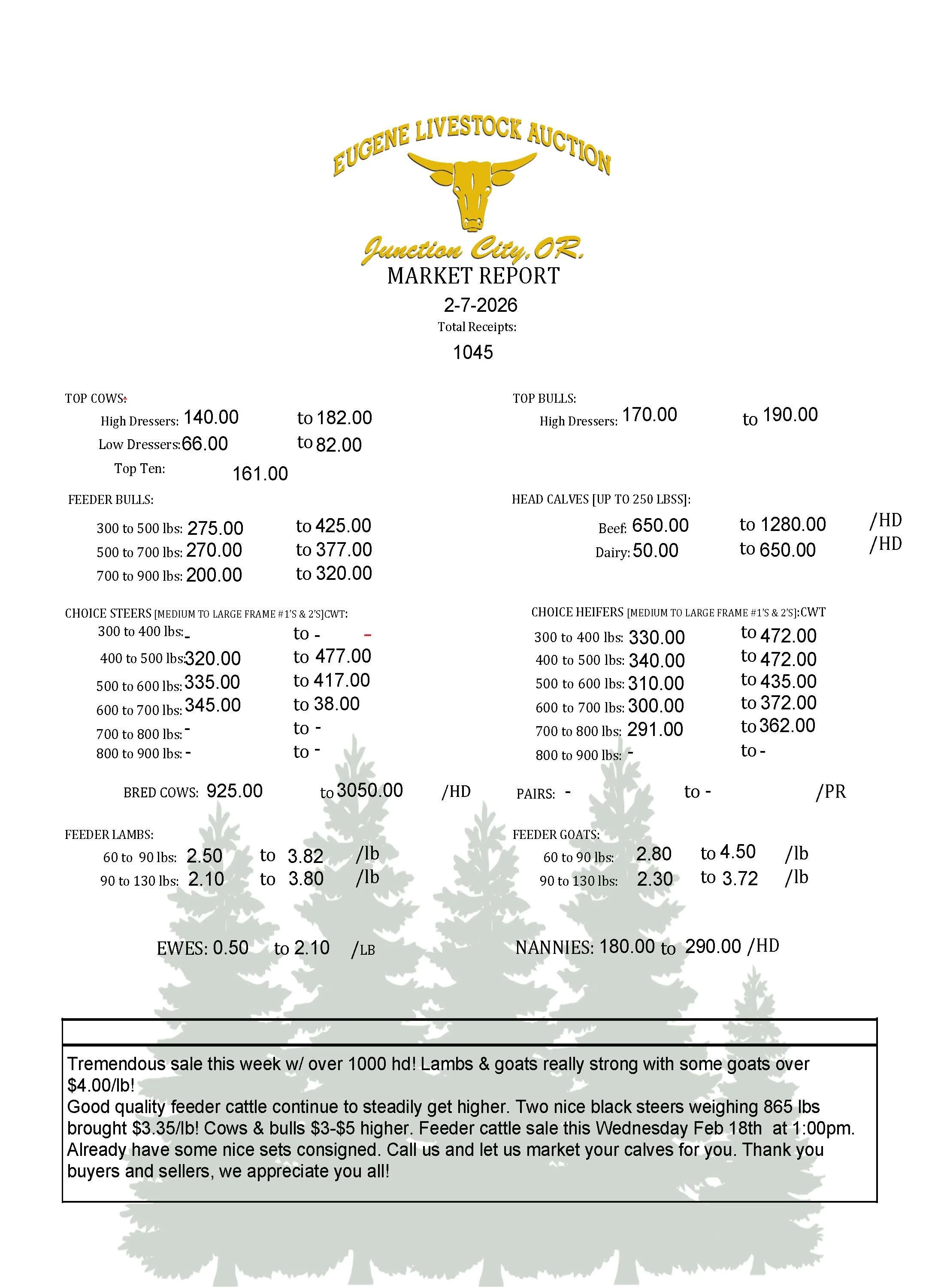 Saturday, February 7th Market Report