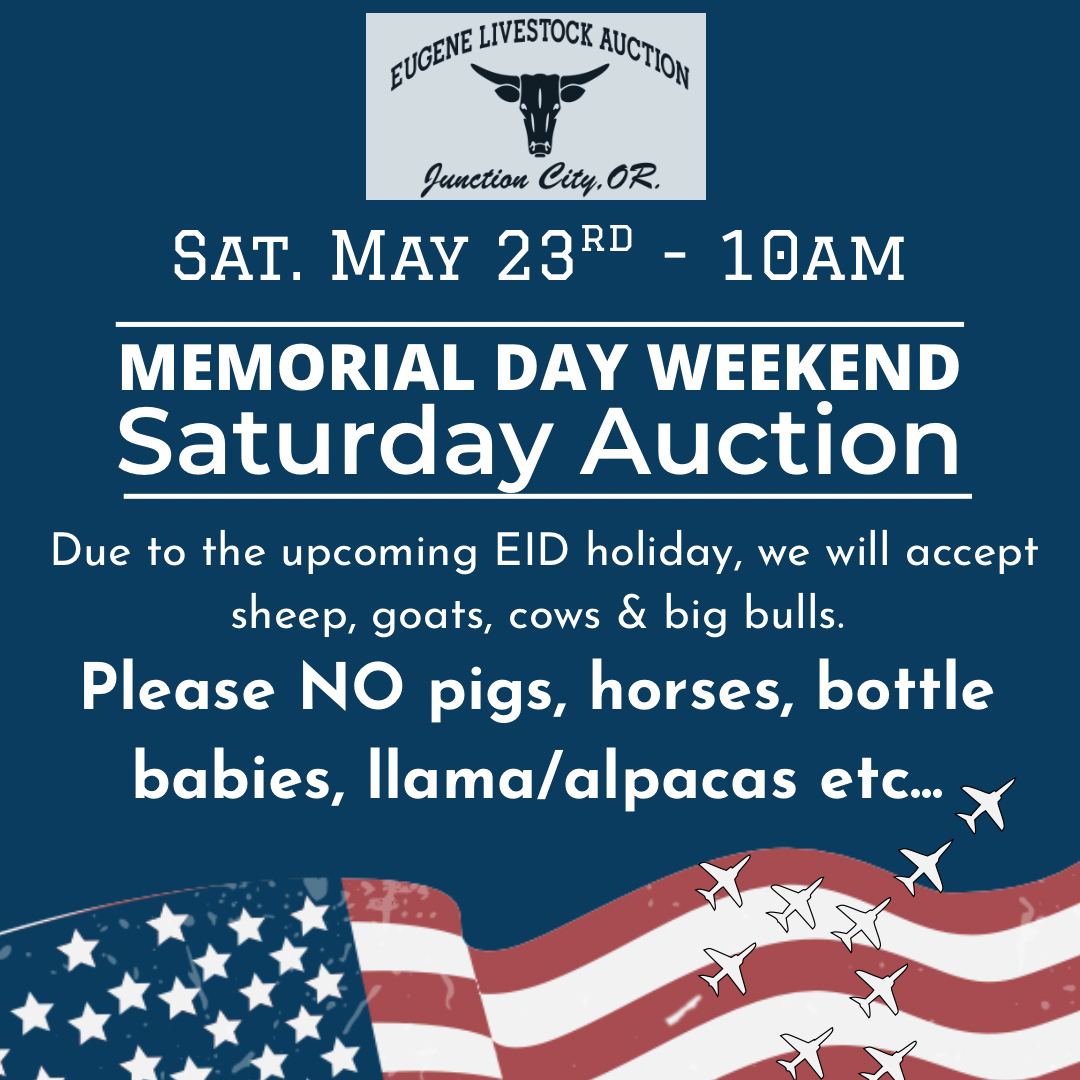 Limited Auction Memorial Day Weekend