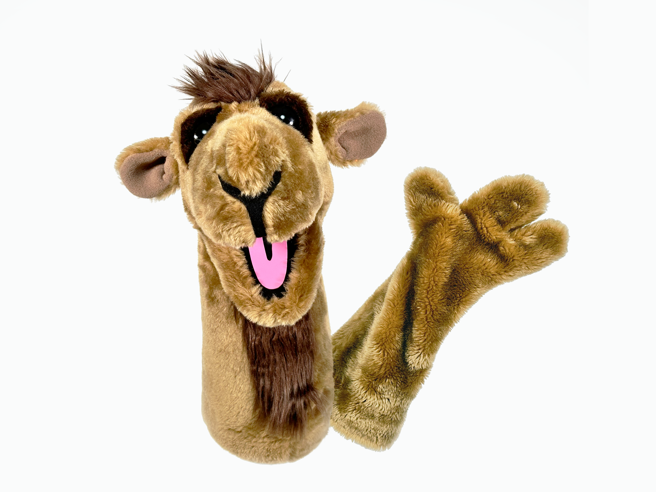 Camel with Glove.png