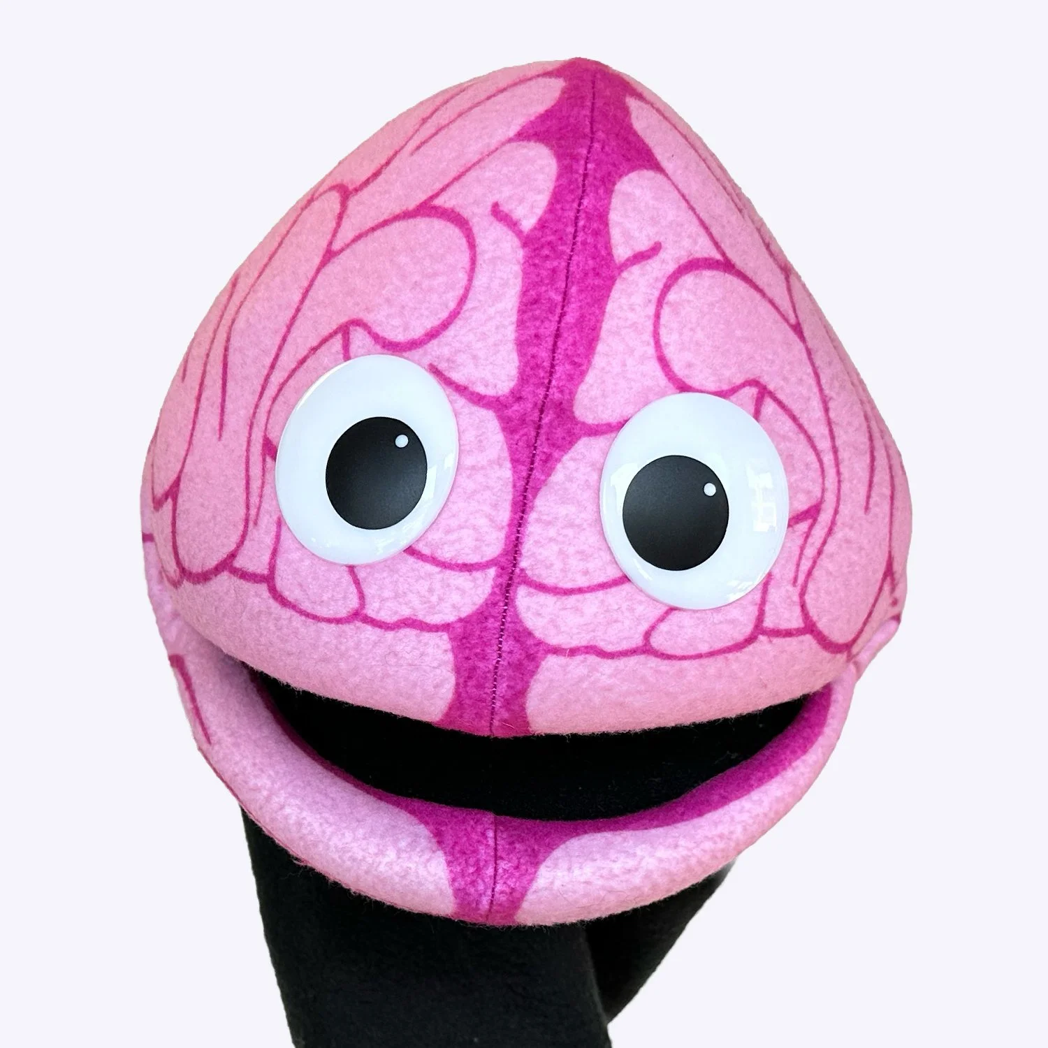 PUP-BP-Brain.jpg (Copy)