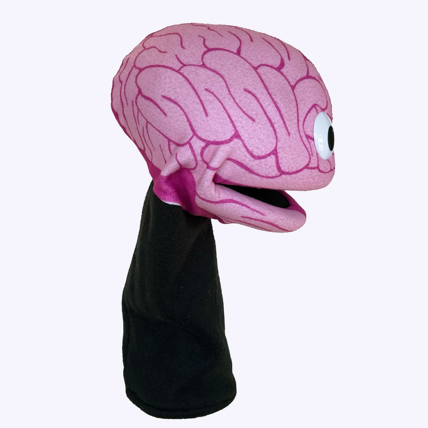 PUP-BP-Brain-2.jpg (Copy)