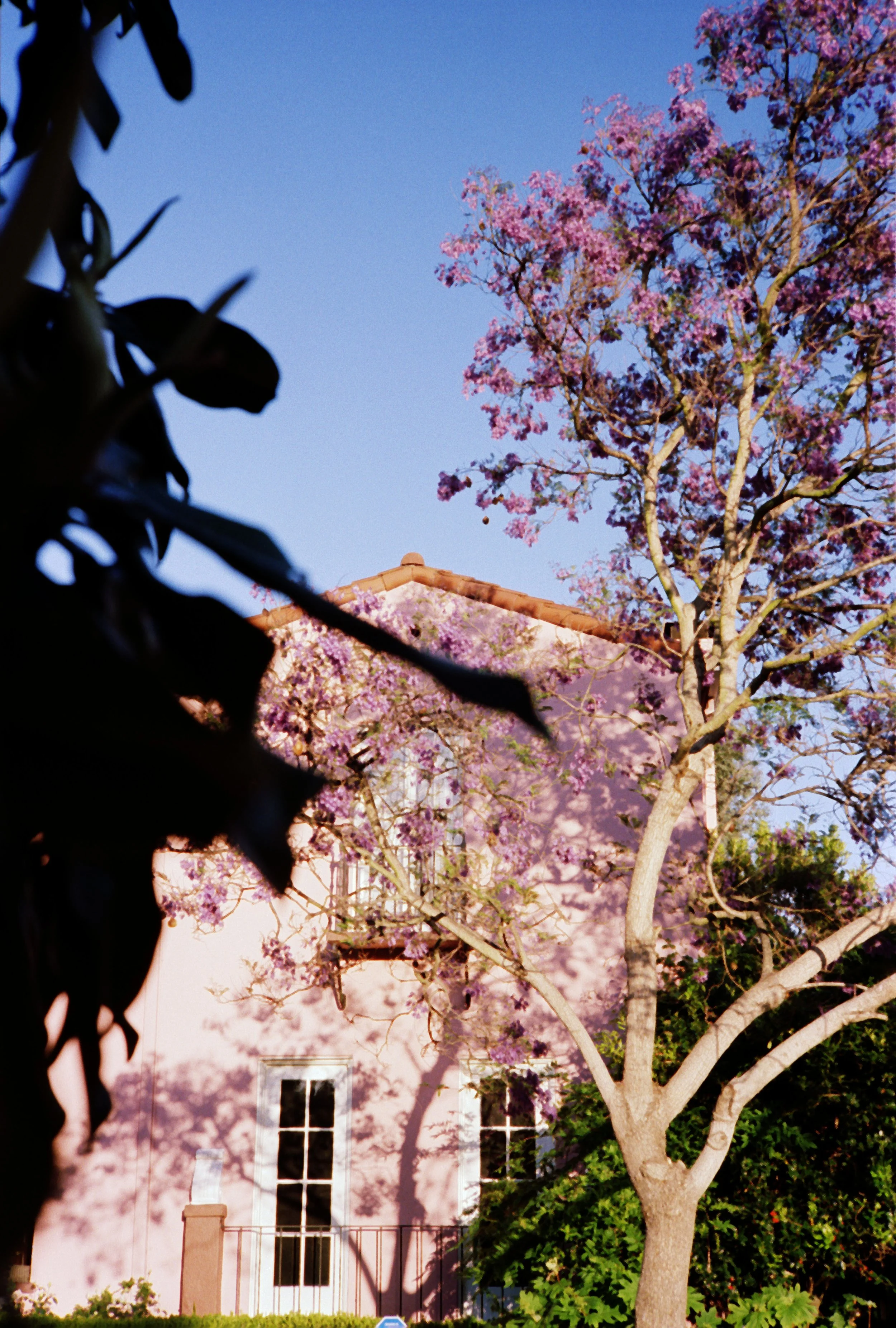 april (510) copy.jpg