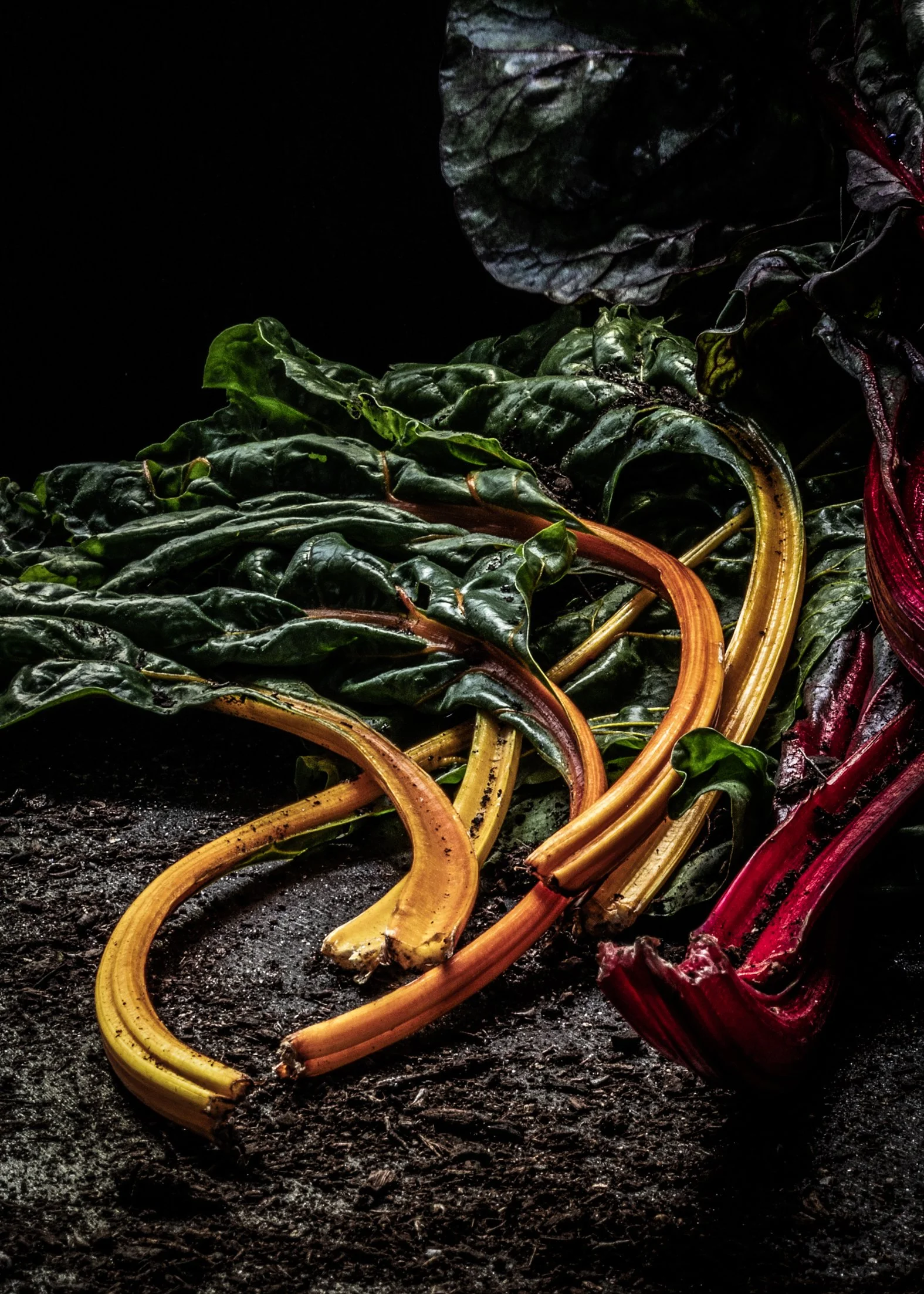 KATIE QUINN PHOTOGRAPHY_SYDNEY_VEGETABLE PHOTOS-13.jpg