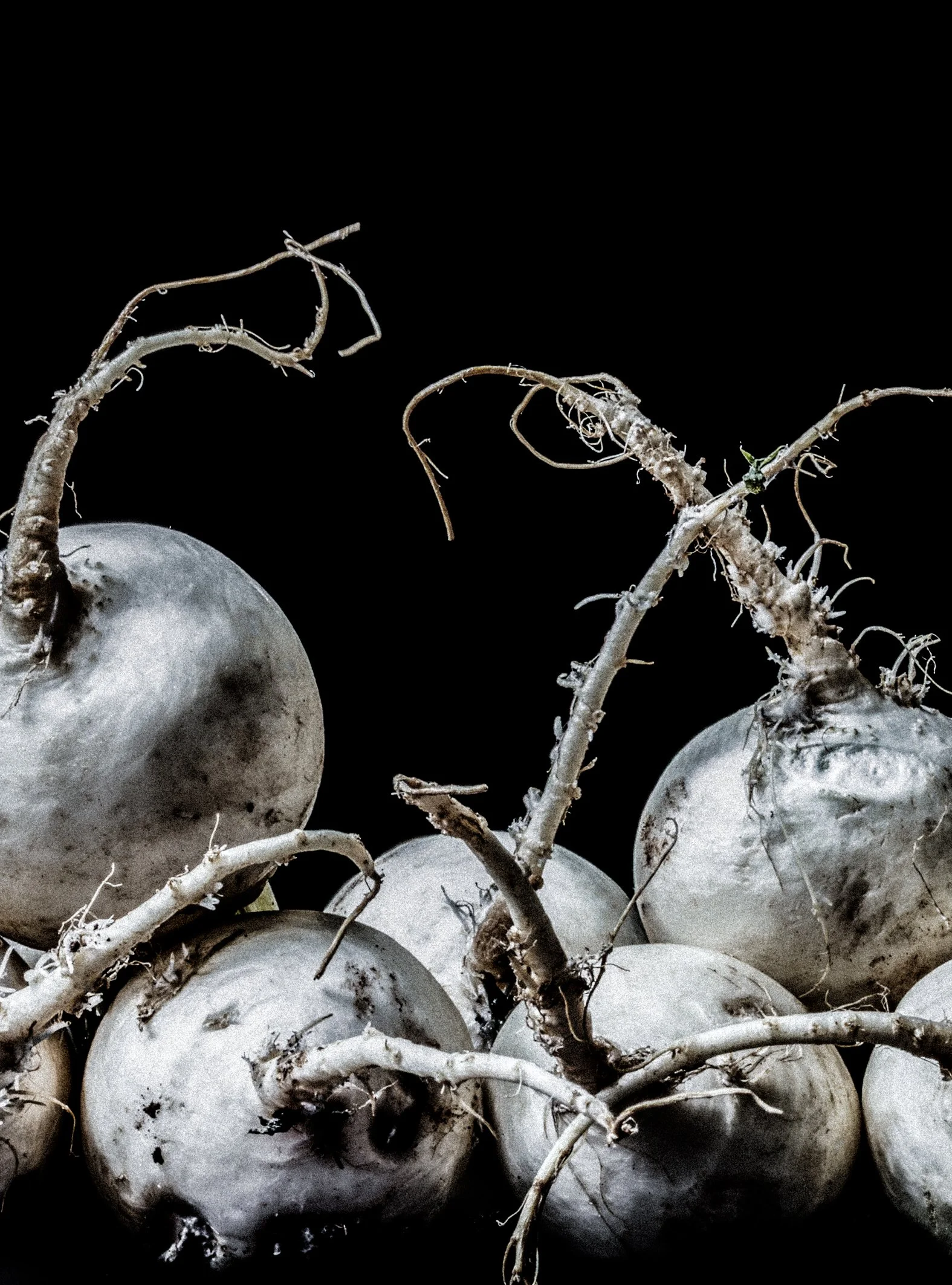 KATIE QUINN PHOTOGRAPHY_SYDNEY_VEGETABLE PHOTOS-20.jpg