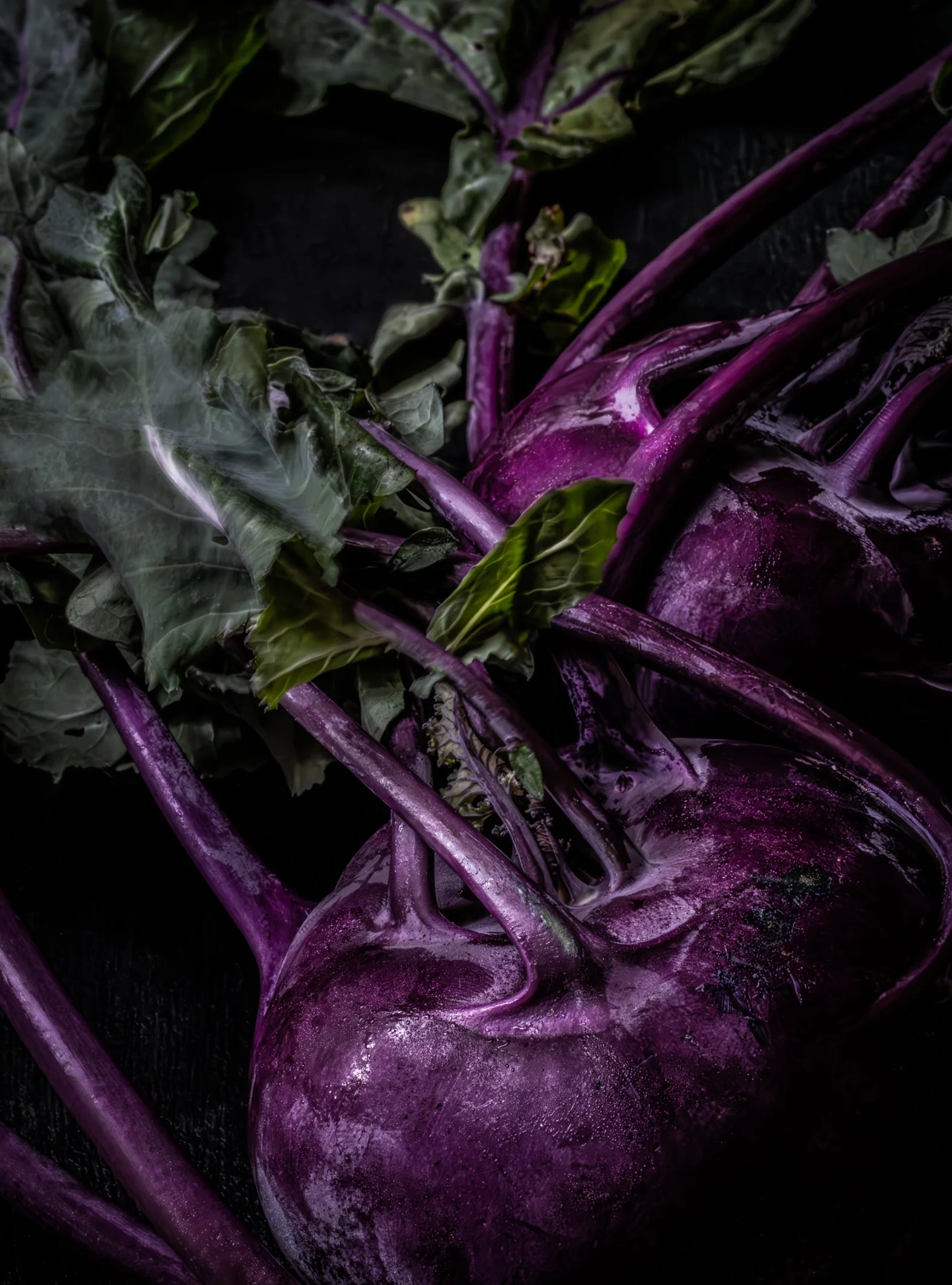 KATIE QUINN PHOTOGRAPHY_SYDNEY_VEGETABLE PHOTOS-17.jpg
