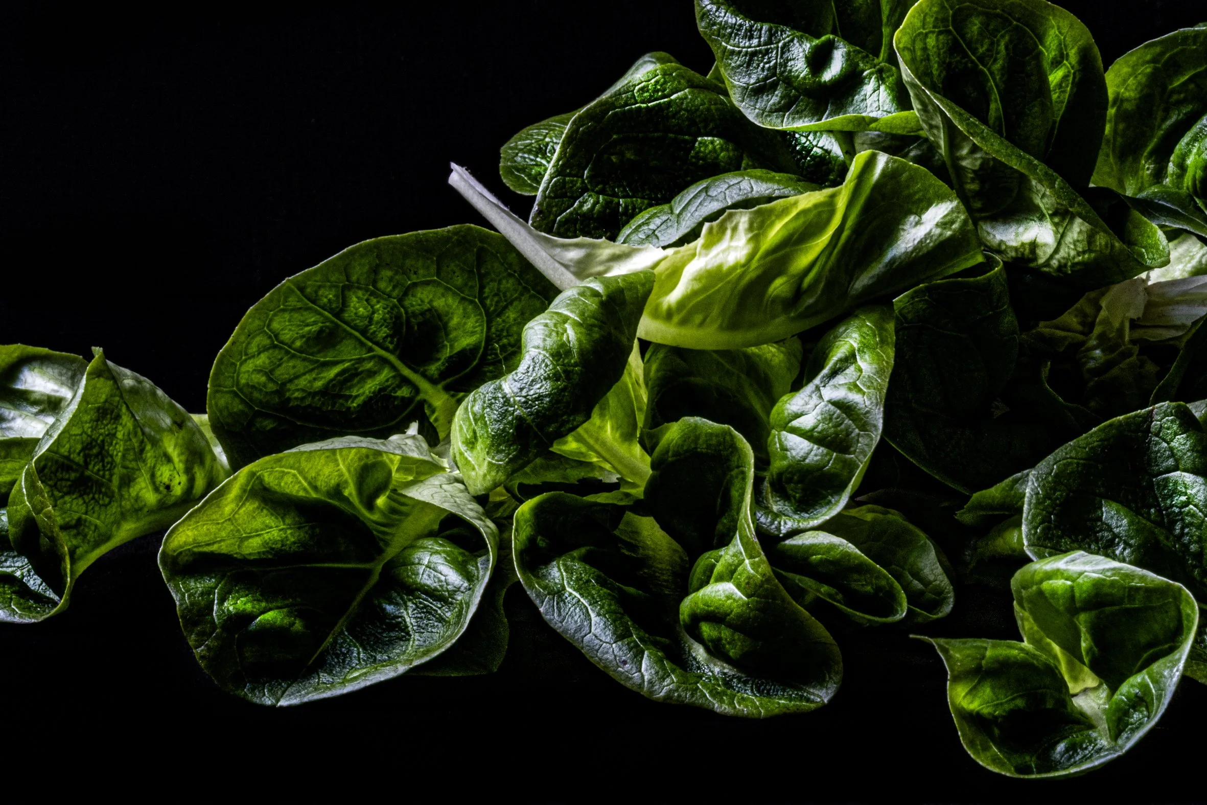 KATIE QUINN PHOTOGRAPHY_SYDNEY_VEGETABLE PHOTOS-28.jpg