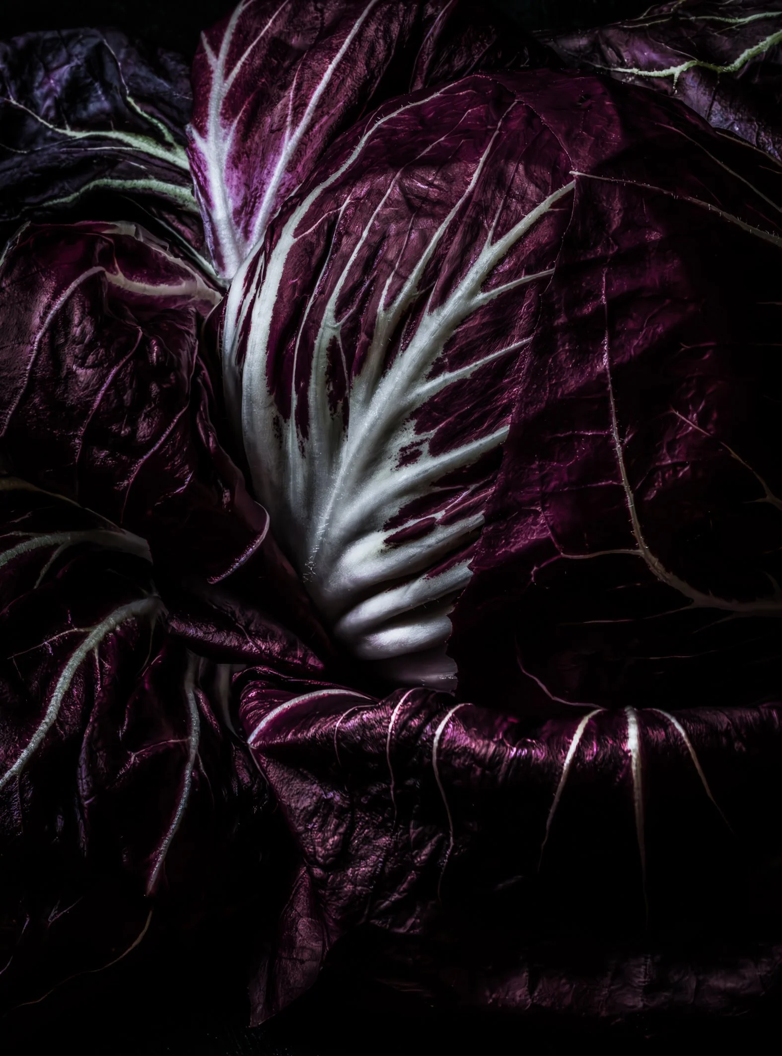 KATIE QUINN PHOTOGRAPHY_SYDNEY_VEGETABLE PHOTOS-3.jpg