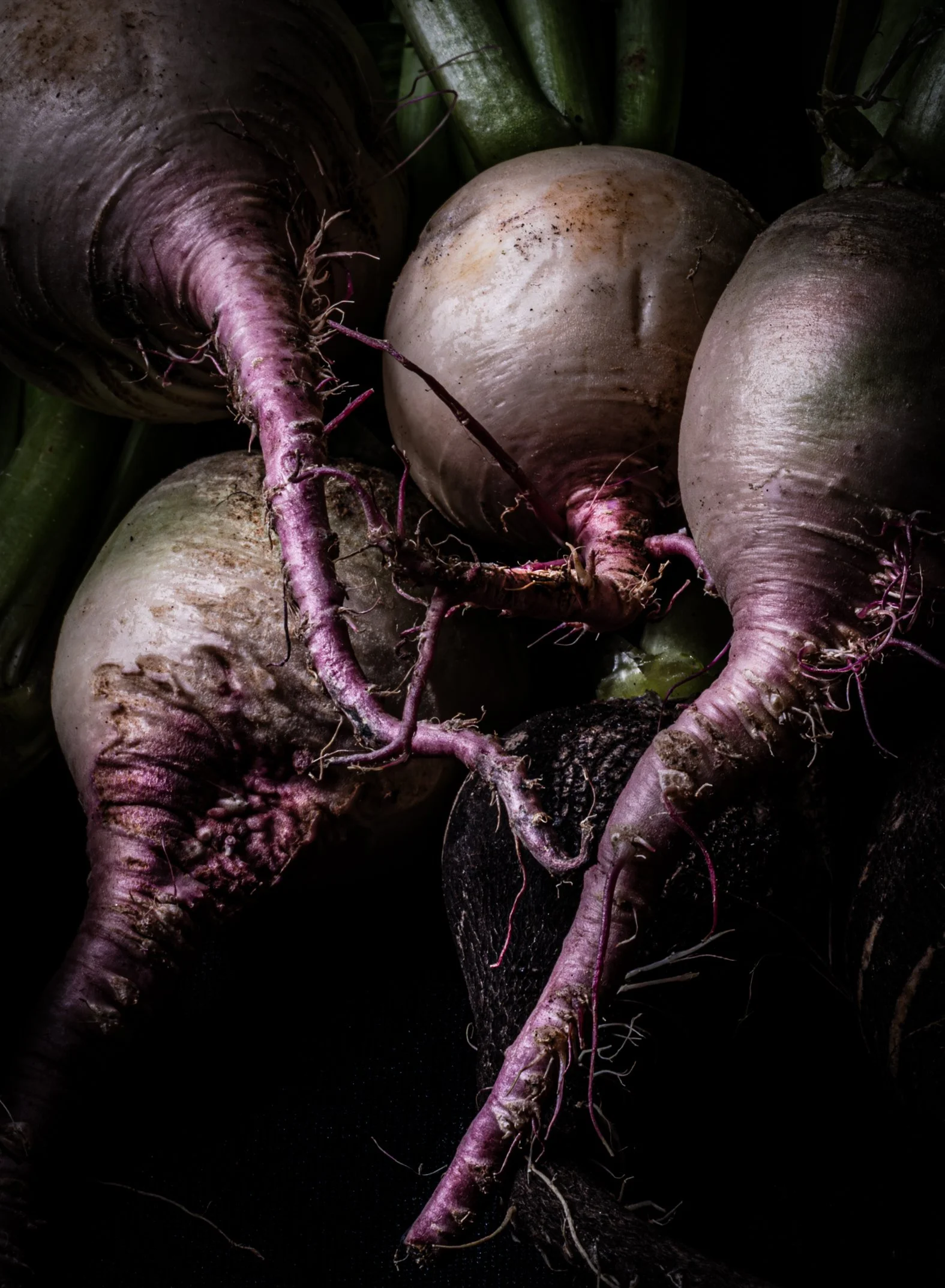 KATIE QUINN PHOTOGRAPHY_SYDNEY_VEGETABLE PHOTOS-15.jpg