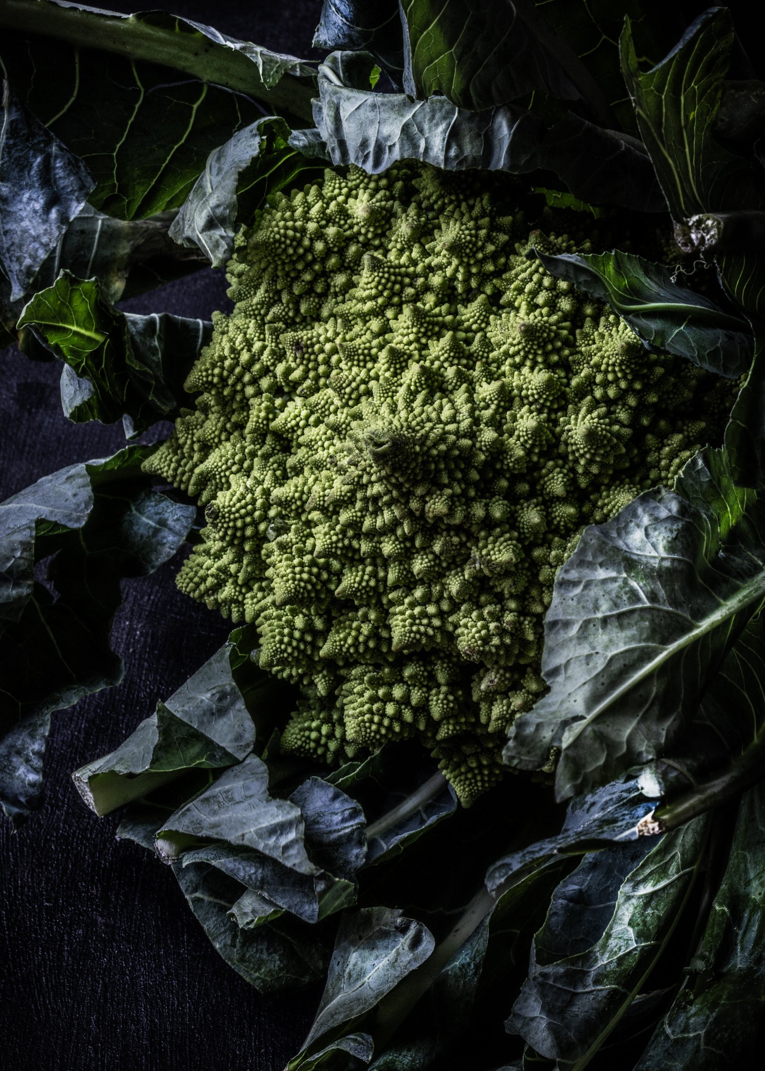 KATIE QUINN PHOTOGRAPHY_SYDNEY_VEGETABLE PHOTOS-4.jpg