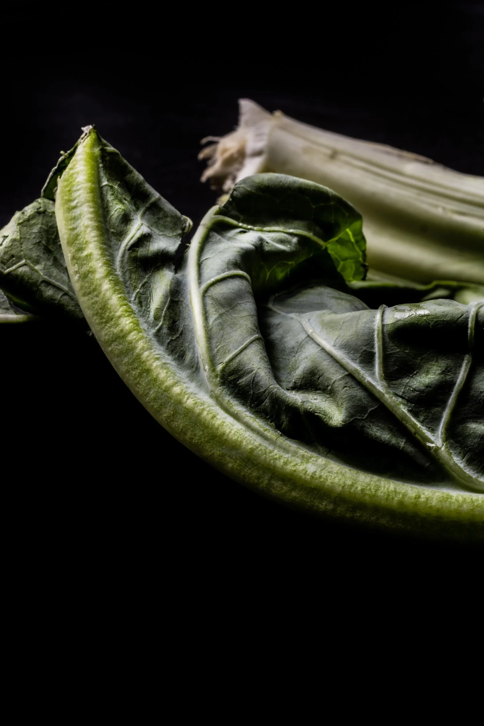 KATIE QUINN PHOTOGRAPHY_SYDNEY_VEGETABLE PHOTOS-23.jpg