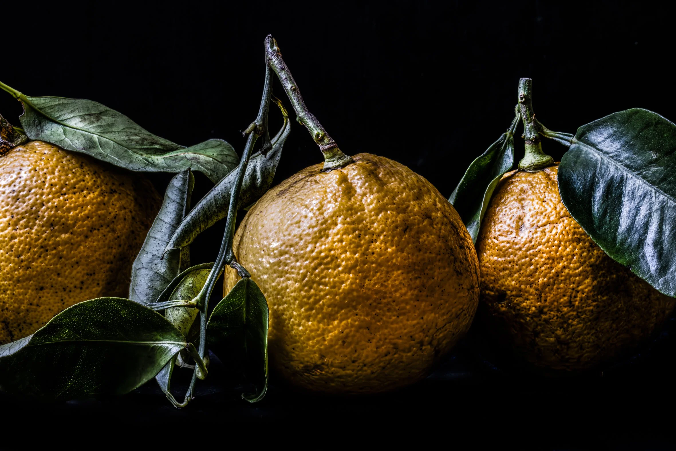 KATIE QUINN PHOTOGRAPHY_SYDNEY_VEGETABLE PHOTOS-25.jpg