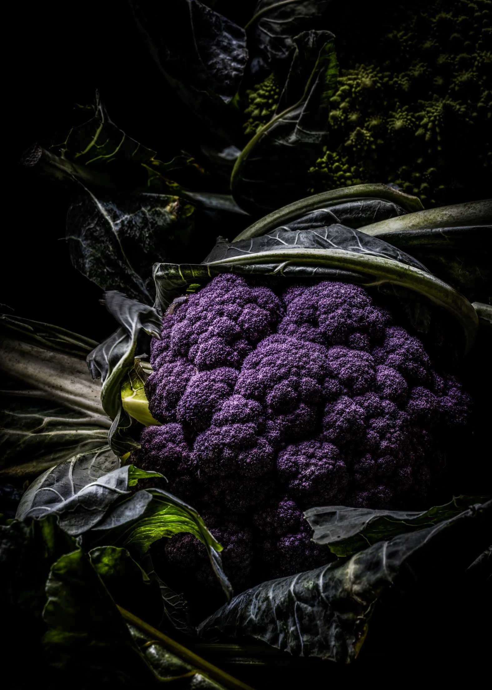 KATIE QUINN PHOTOGRAPHY_SYDNEY_VEGETABLE PHOTOS-2.jpg