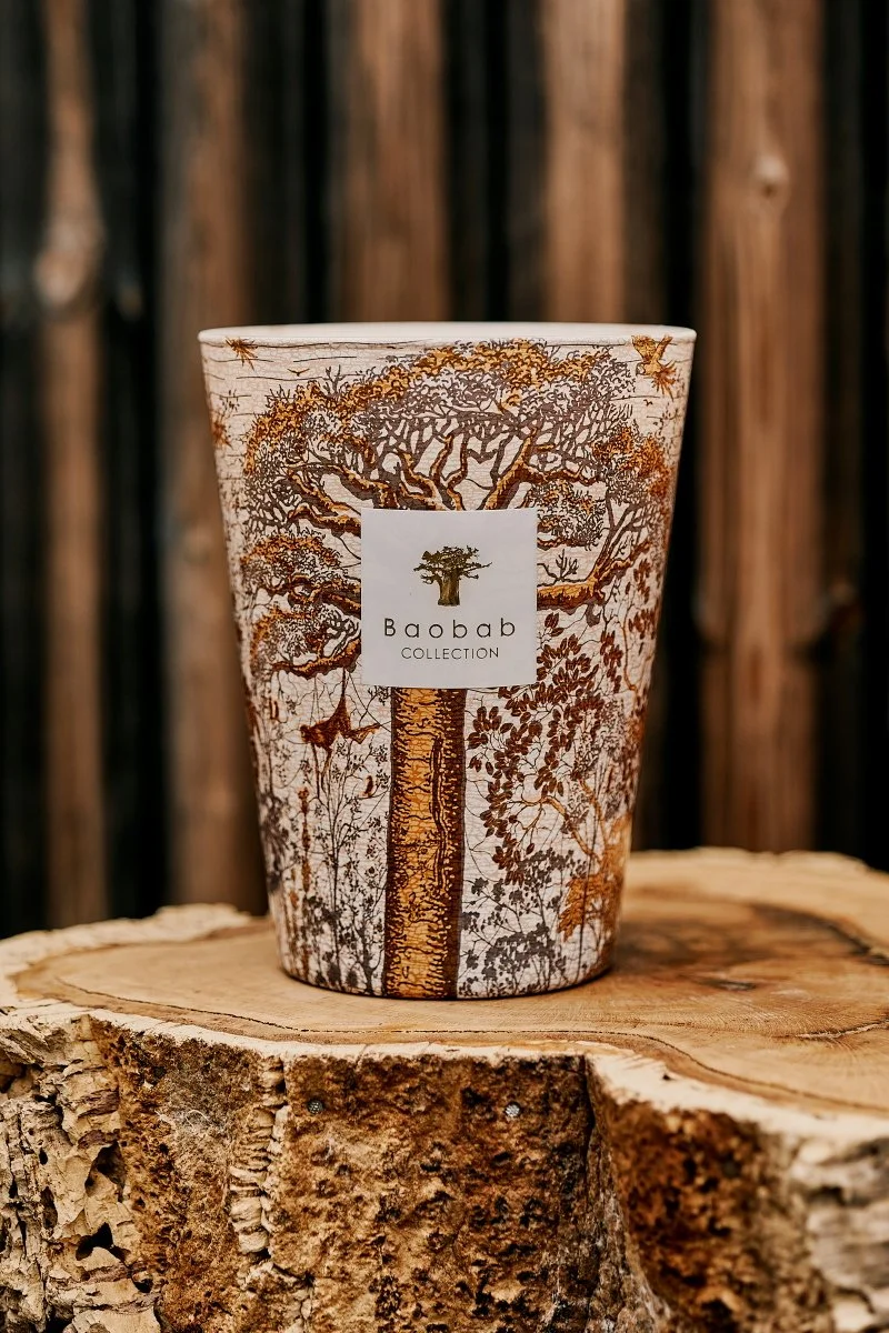 BAOBAB_SS2024-293.KL1200 pix.001.JPG