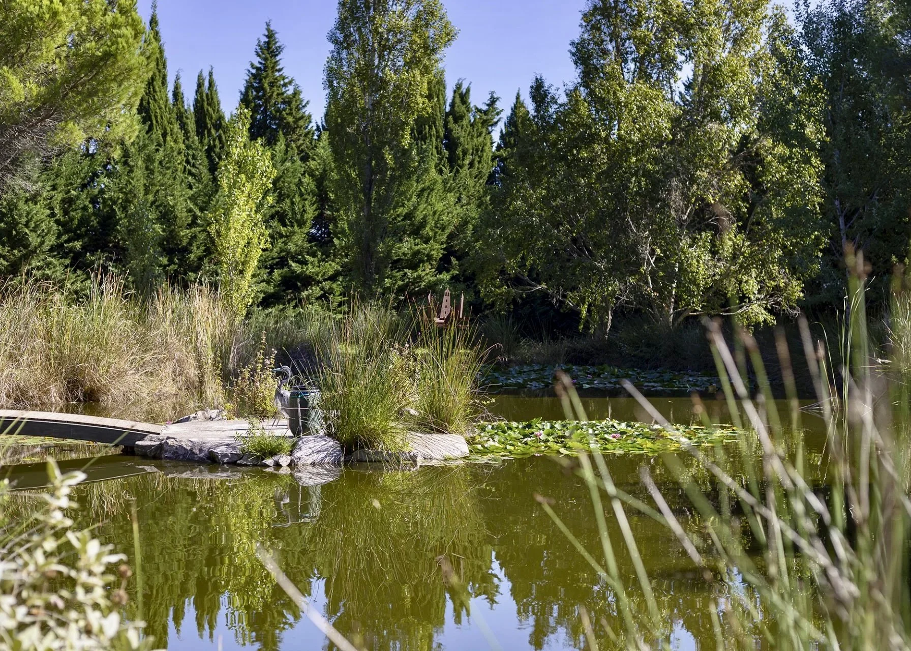 9667E7A2-8817-4701-81D4-B0B31F895556_1_201_a.jpeg