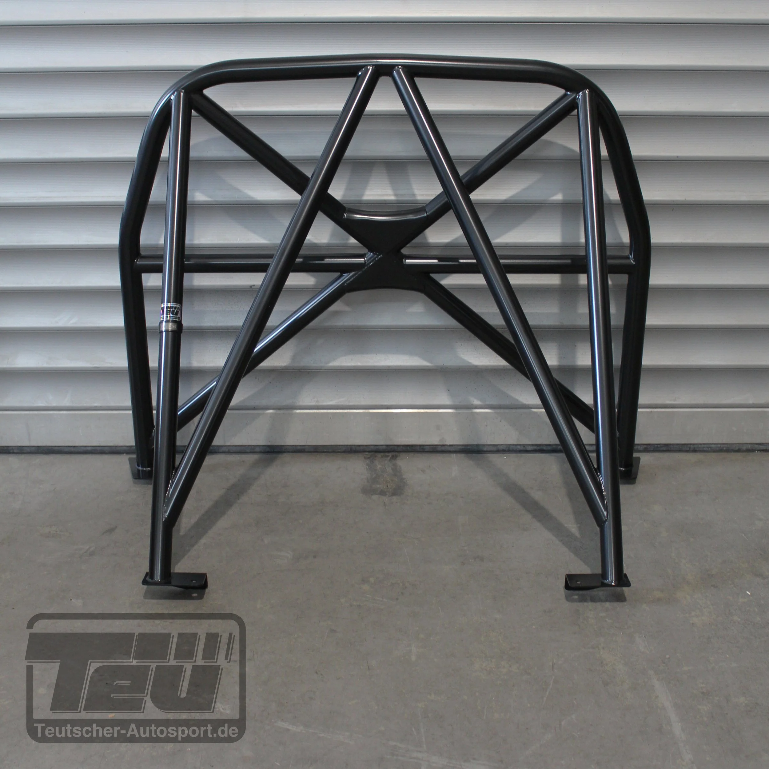 R56-halfcage-1294-Rear-Teutscher.JPG