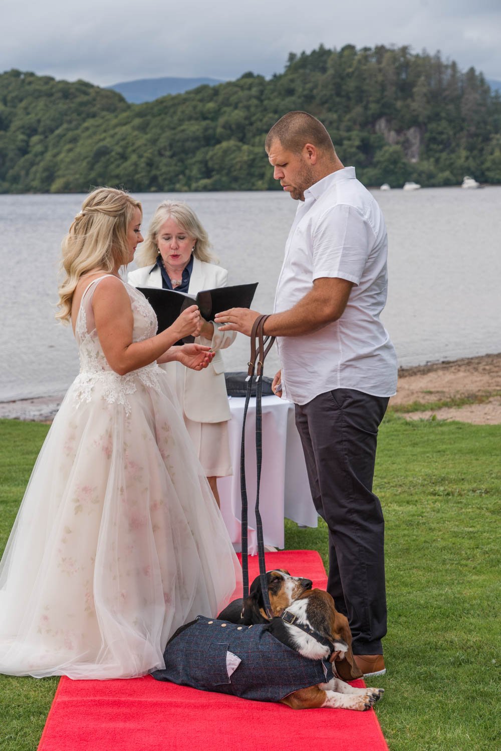 Dogs-at-Scottish-Weddings-12.jpg