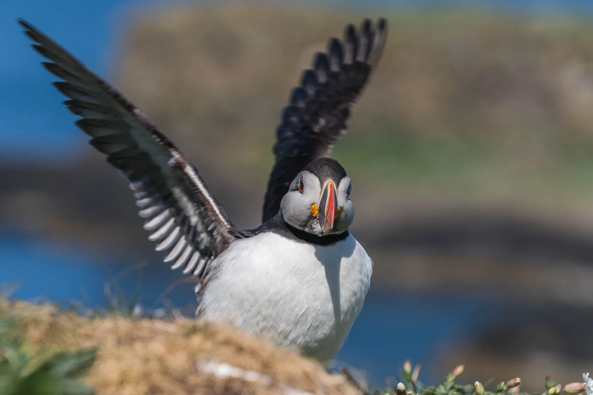 Following yesterday's post about the range of framed pictures that I sell on my website of locations in Loch Lomond and the Trossachs, I was asked if I cover any other parts of Scotland, and the answer is yes. Message me with any requests, and If I h
