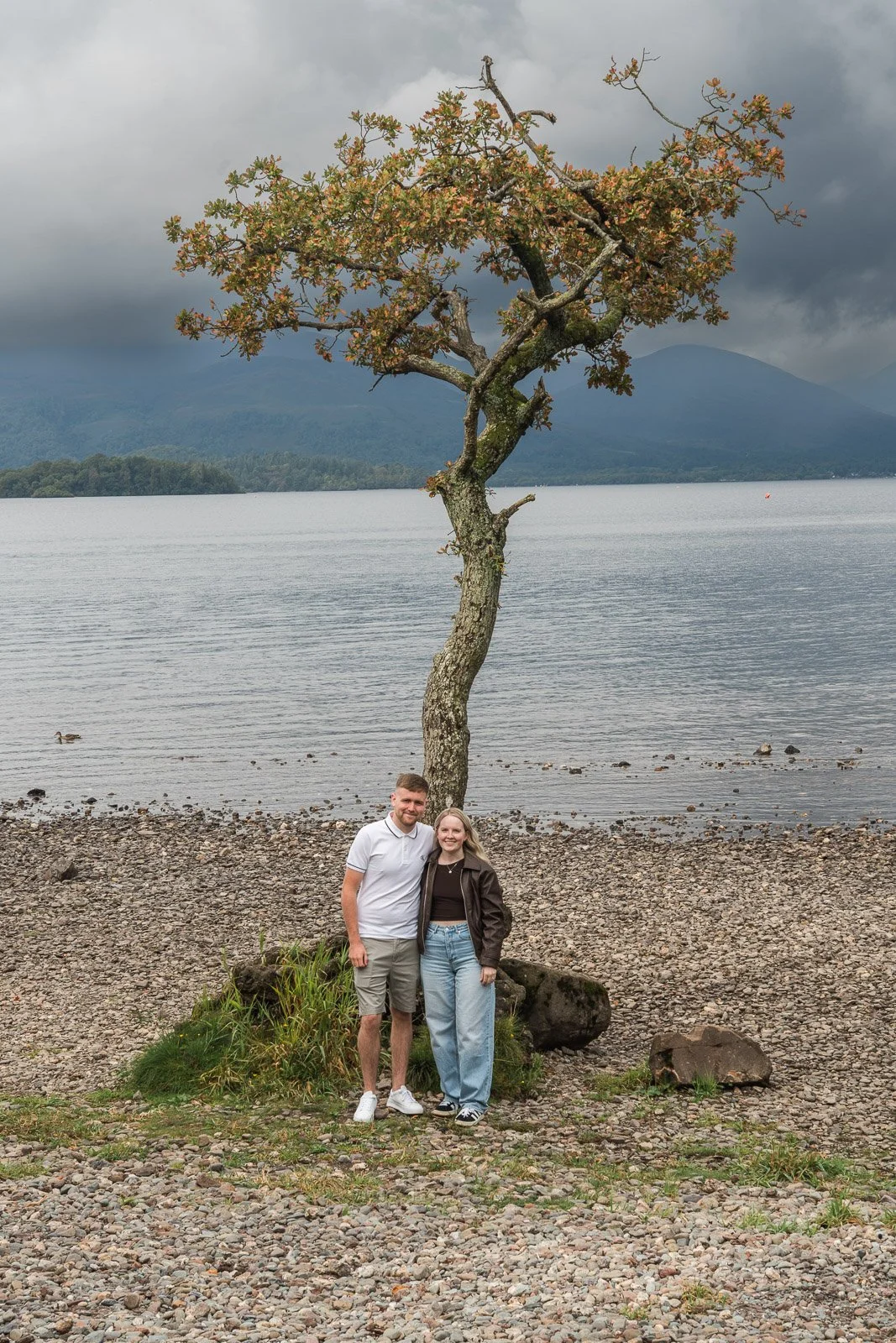 Milarrochy Bay Tree by Loch Lomond