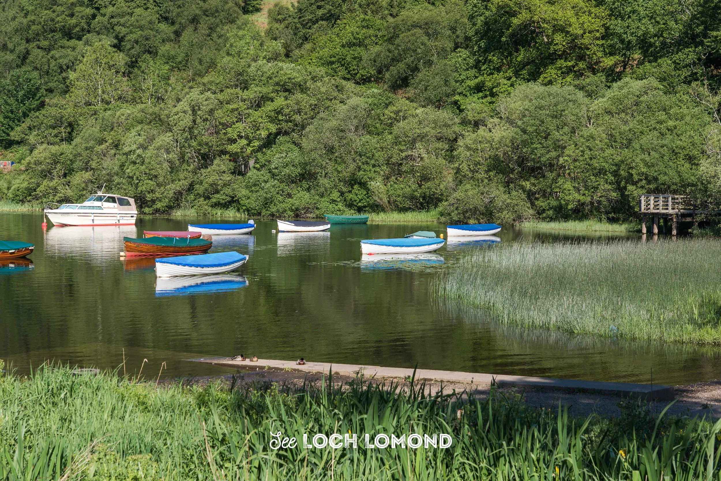 Balmaha Bay, Loch Lomond with boats, tranquil scene