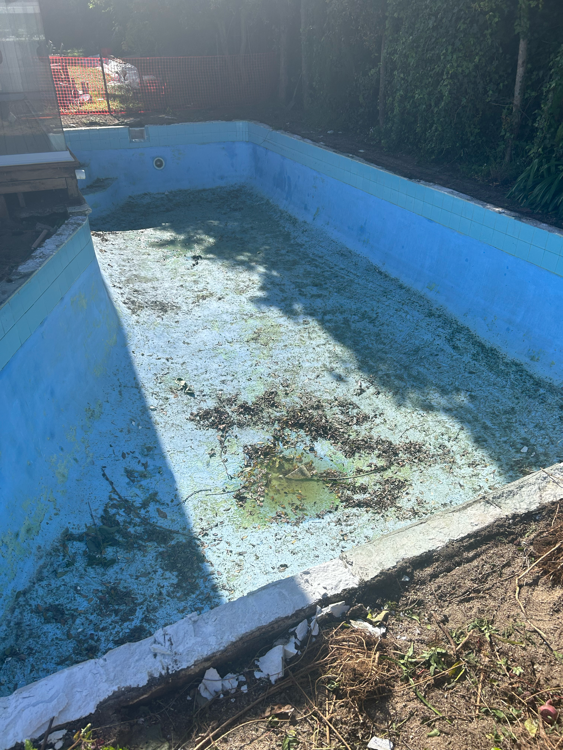 Empty swimming pool with algae and debris, surrounded by dirt and overgrown weeds. Existing pool refurbishment Built by ESC outdoor living swimming pool builders. Auckland.