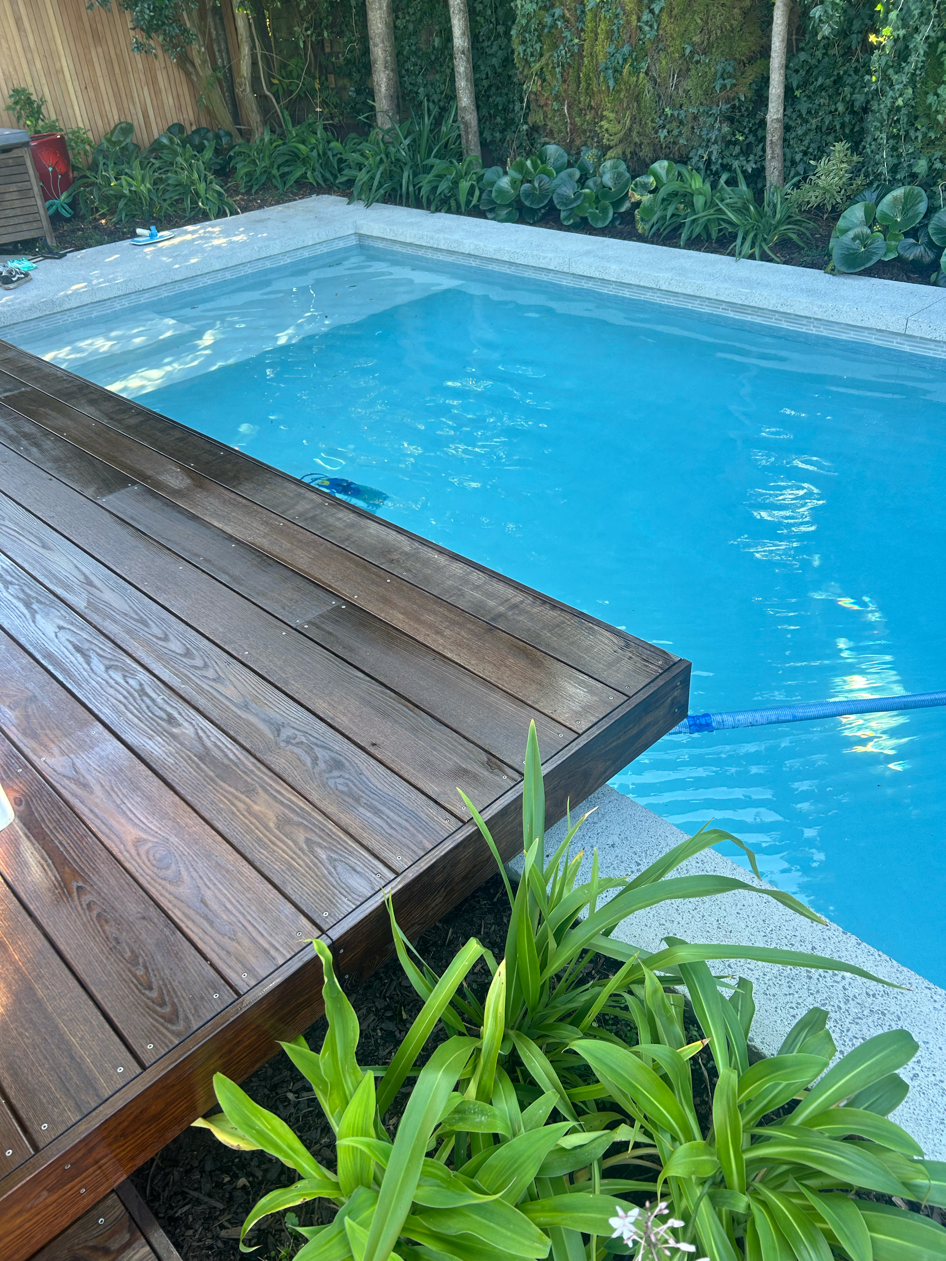 A swimming pool with a wooden deck and surrounding plants, including leafy green foliage and flowering plants in the background. Existing pool refurbishment Built by ESC outdoor living swimming pool builders. Auckland. skilled builders