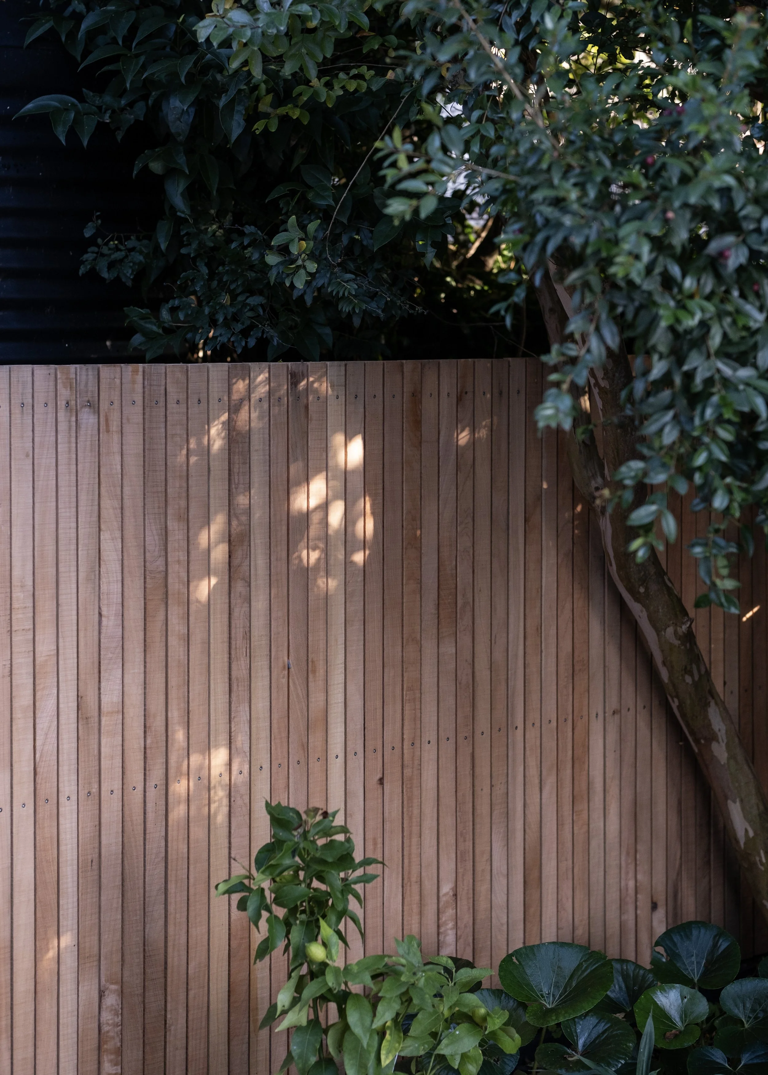 A wooden fence with vertical slats, partially shaded by sunlight, surrounded by green foliage and trees. Existing pool refurbishment Built by ESC outdoor living swimming pool builders. Auckland. skilled builders