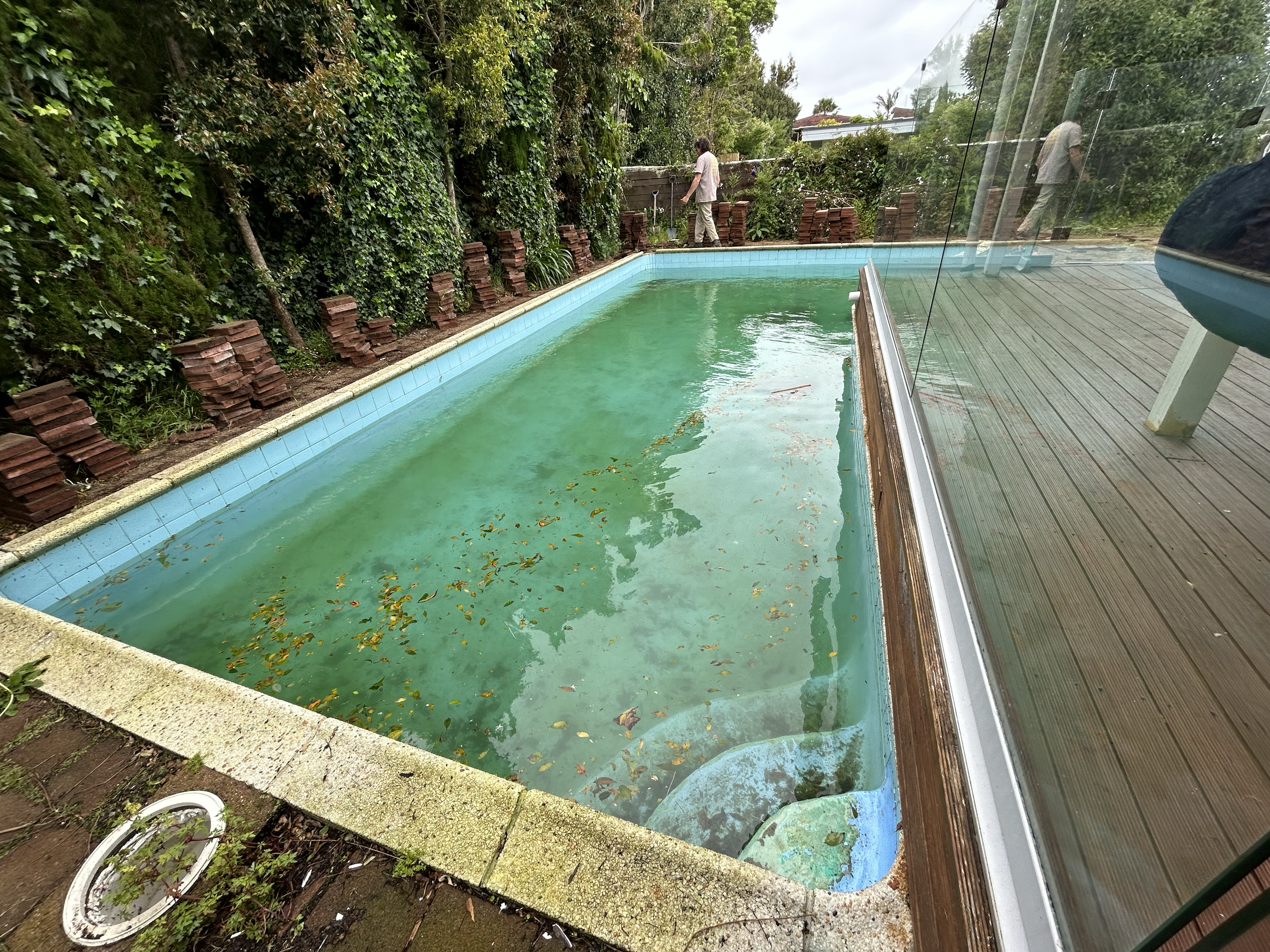 A swimming pool with greenish water, leaves floating on the surface, surrounded by wood decking and a glass fence, with a person watering plants in the background. Existing pool refurbishment Built by ESC outdoor living swimming pool builders. Auckla