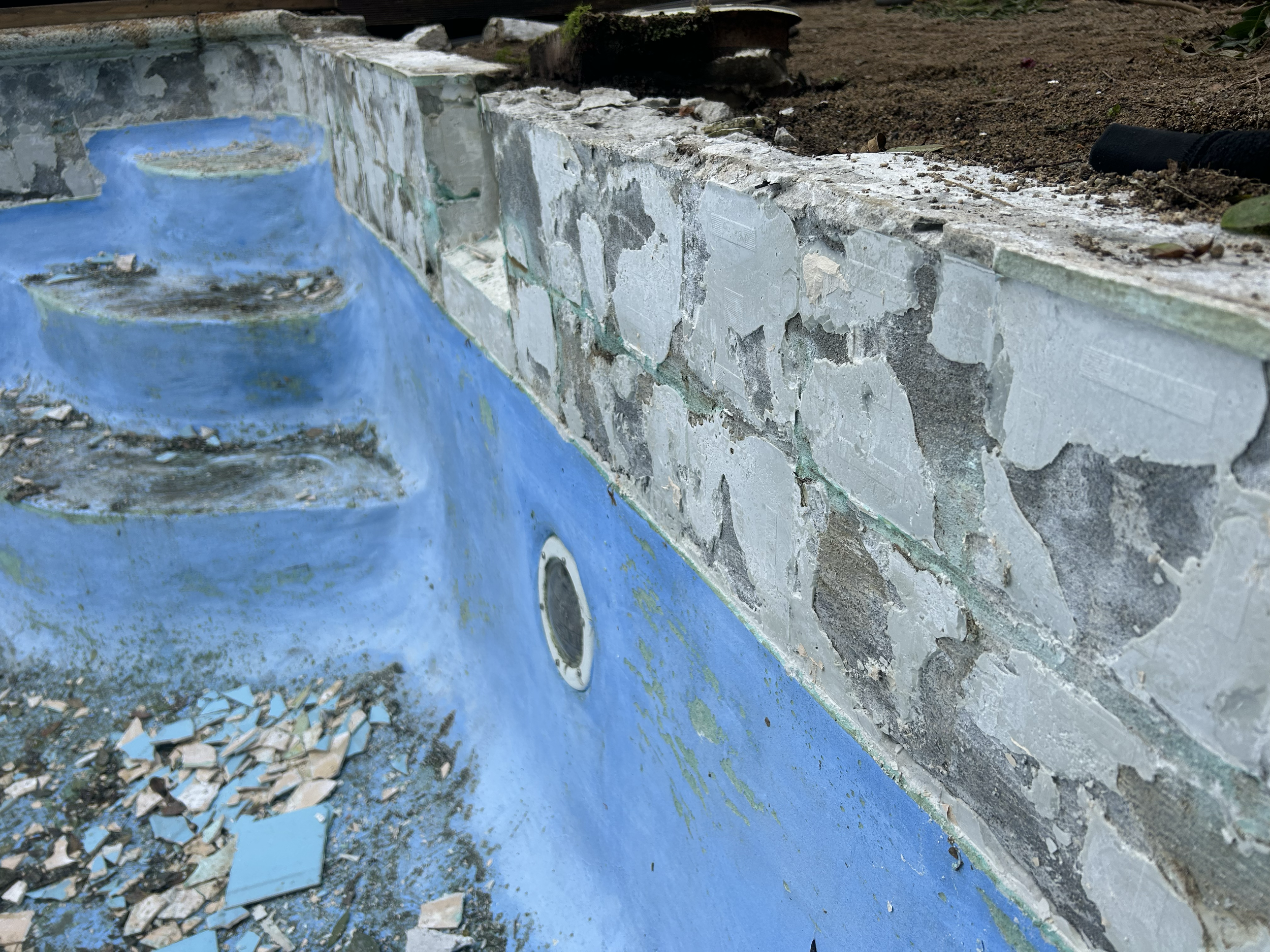 Close-up of a damaged, empty swimming pool with chipped blue paint, debris, and tiles on the bottom, next to a rough brick wall and soil. Existing pool refurbishment Built by ESC outdoor living swimming pool builders. Auckland.