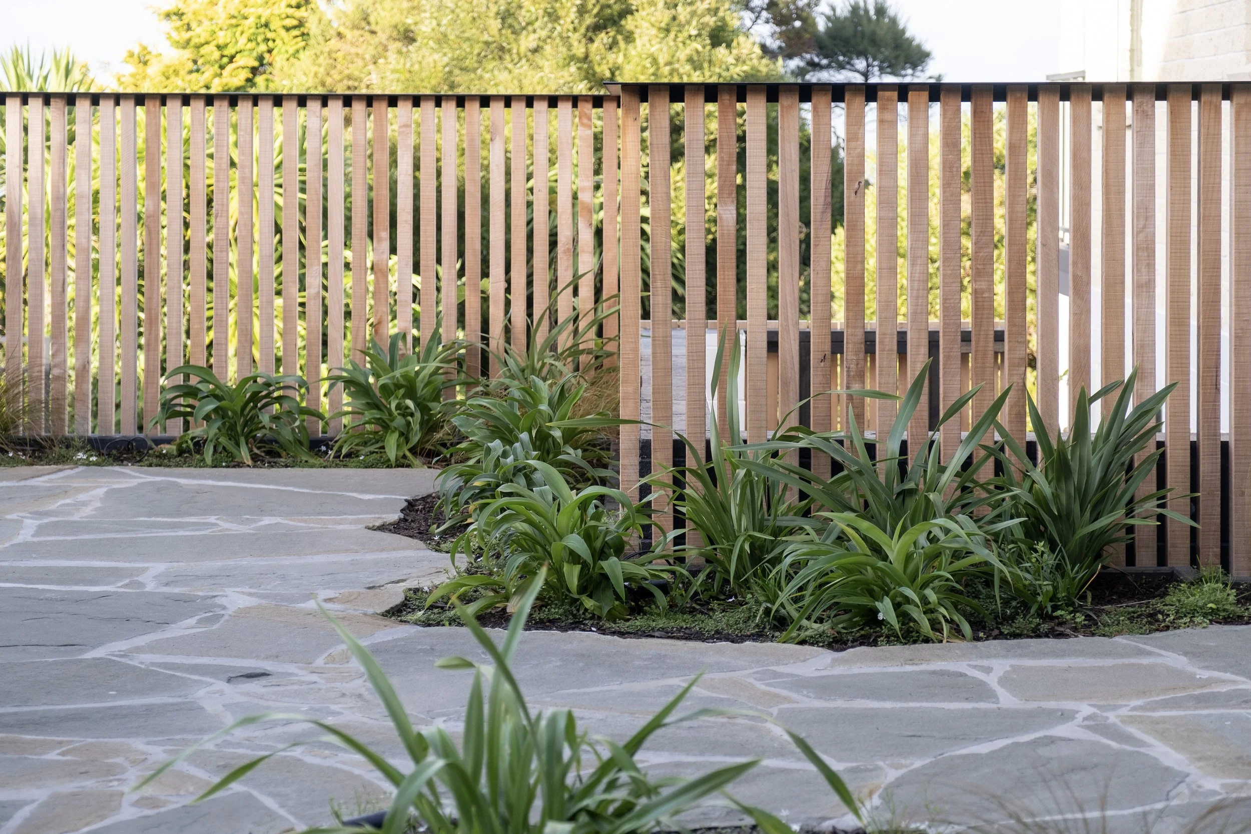 A stone pathway with green plants on the sides, wooden slat fence in the background, and trees and blue sky visible in the distance. Existing pool refurbishment Built by ESC outdoor living swimming pool builders. Auckland. skilled builders