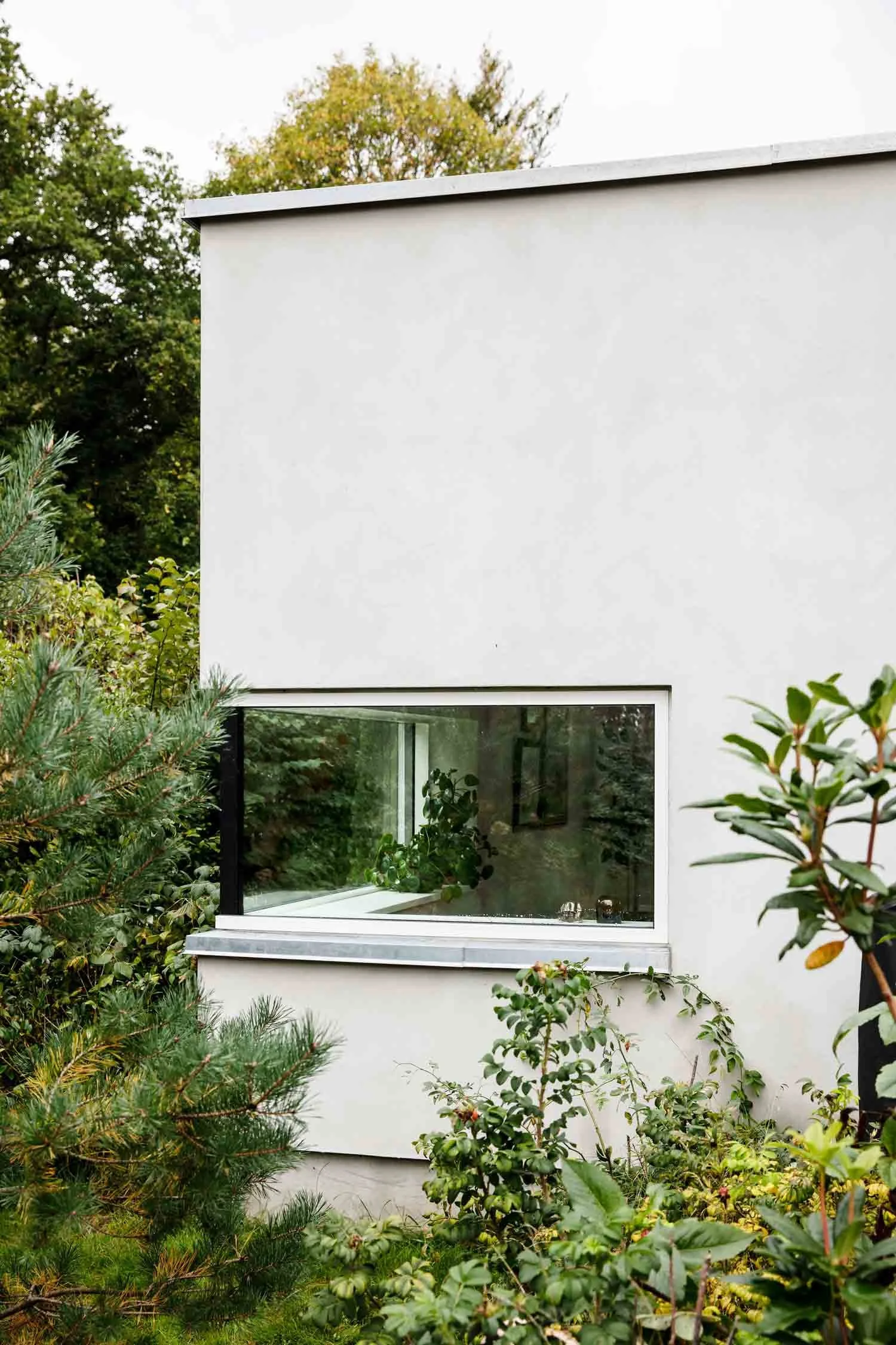 Et hvidt moderne hus med en stor vinduesramme, omgivet af grønne buske og træer.