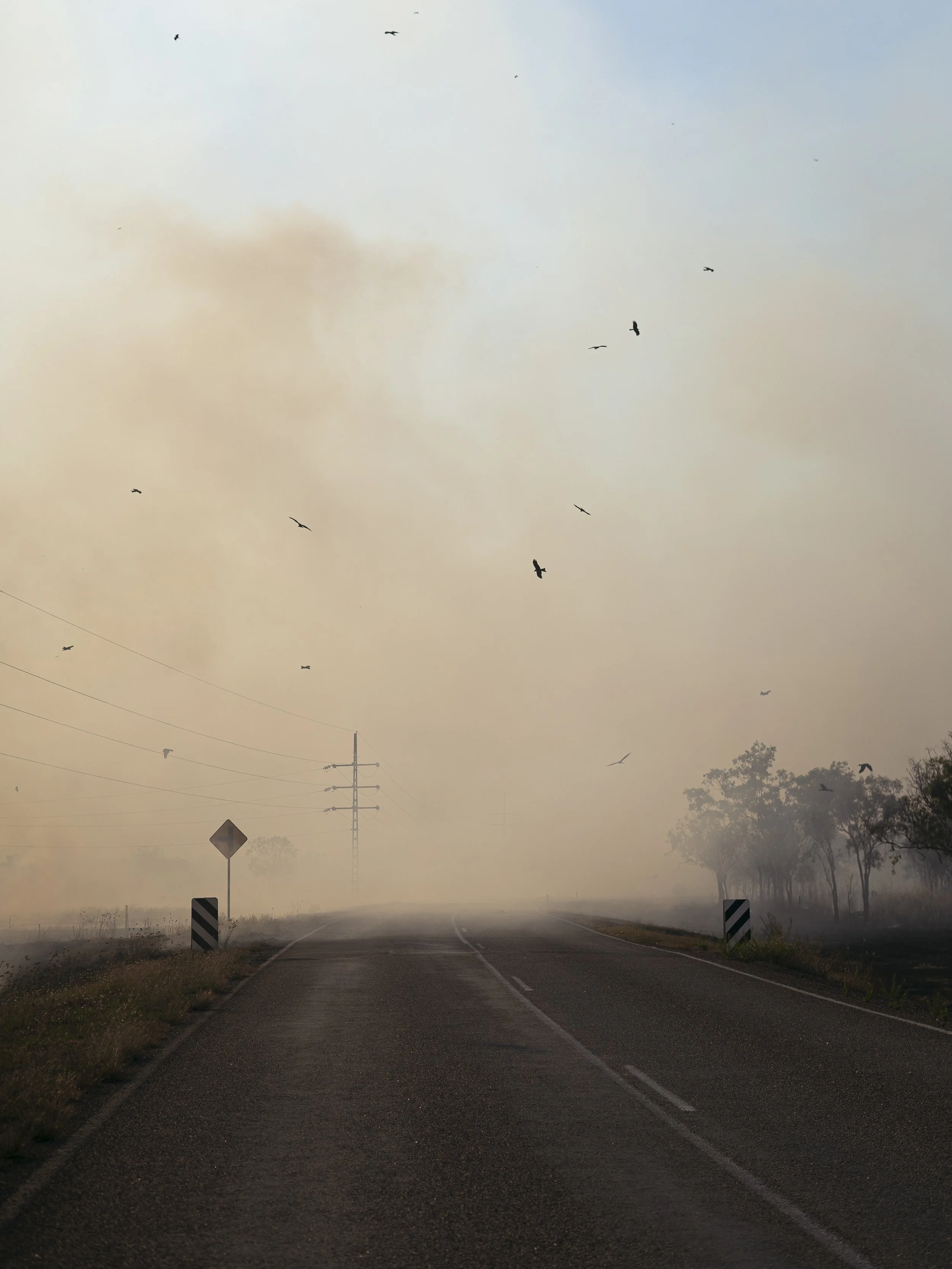 Kakadu fires