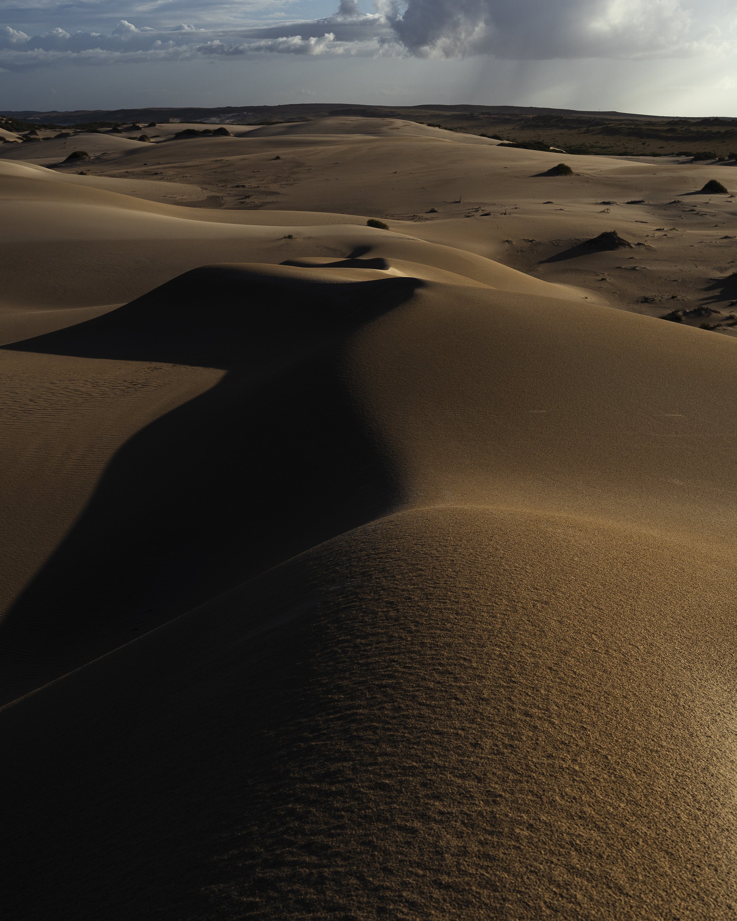 Dark dunes