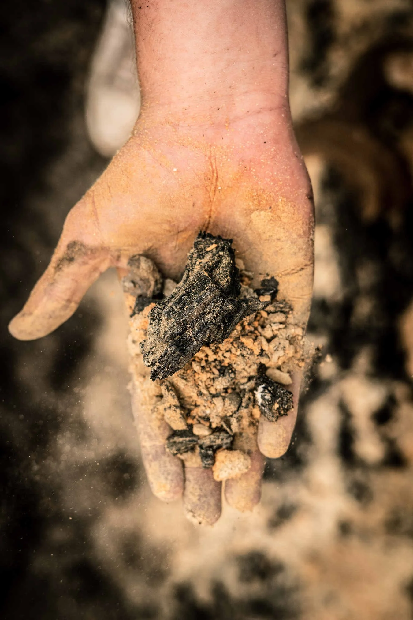 Ned Henderson Unsettling evidence black summer bushfires 2020 australia